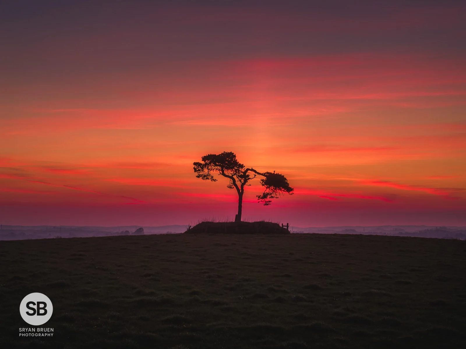 2025-04-10 Fairy Tree sunset sun pillar 10 April 2025.jpg
