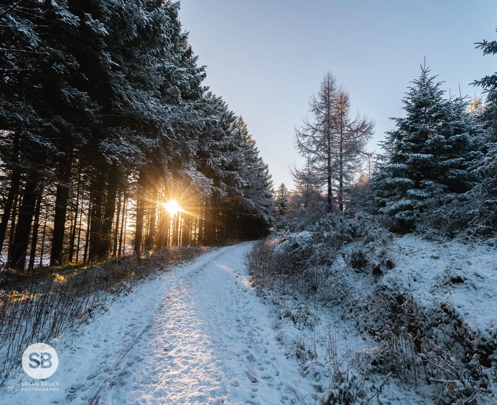 2022-12-09 Snow covered Hellfire Club trail 9 December 2022.jpg