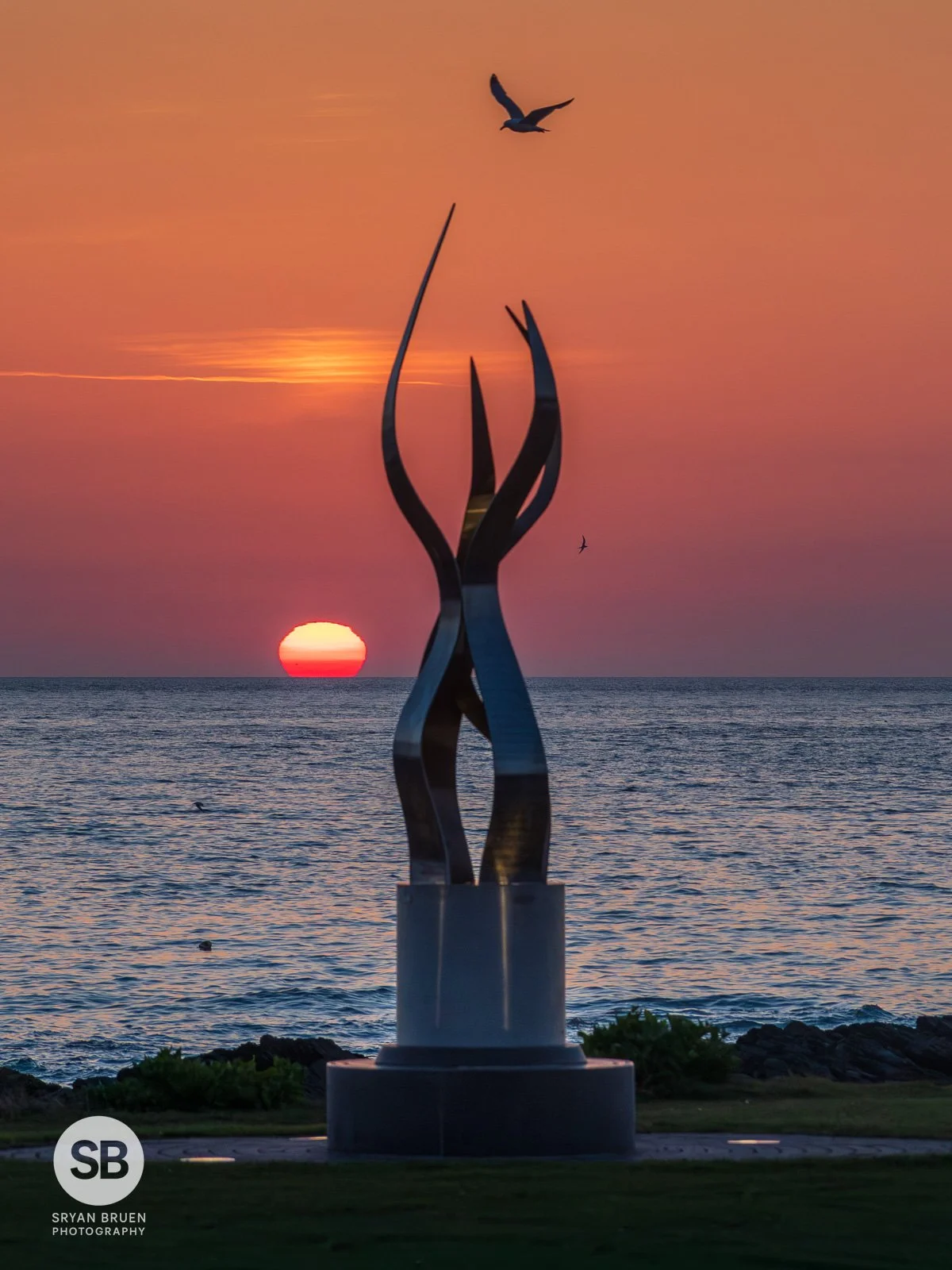 2026-05-26 Skerries Tidy Towns sculpture sunrise bird.jpg