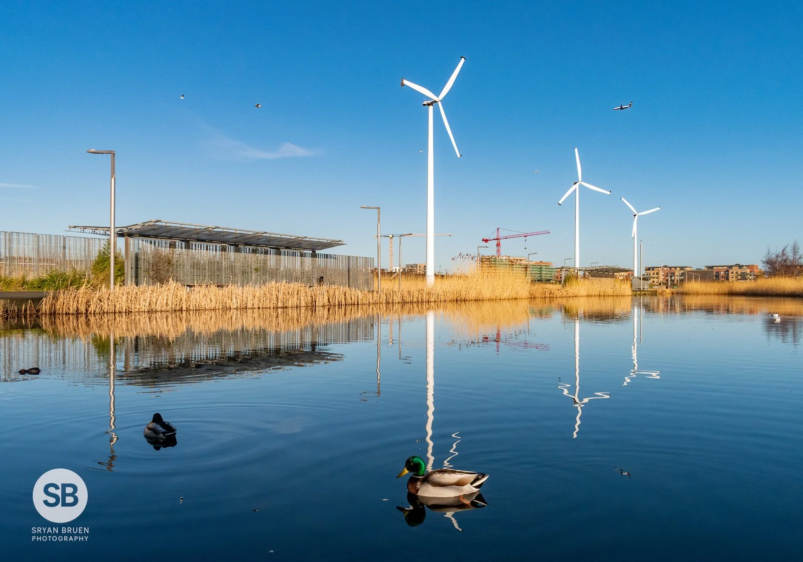 2022-03-01 Father Collins Park blue sky reflections 1 March 2022.jpg