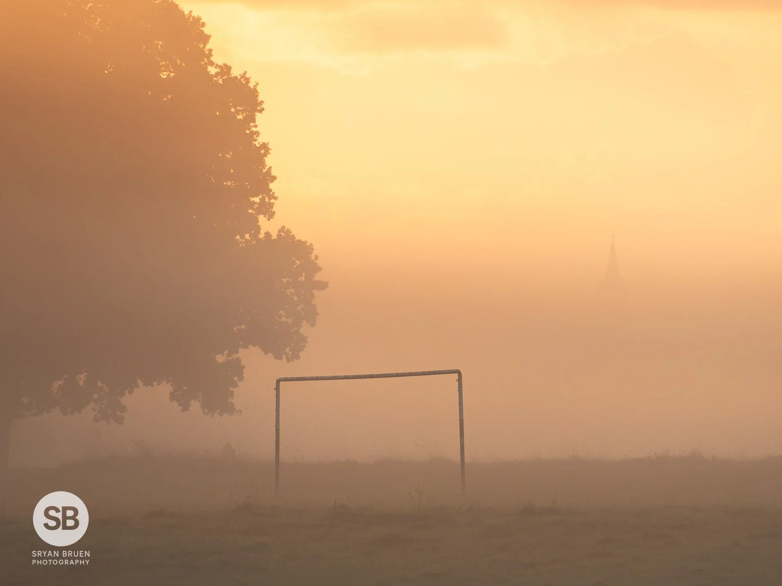 2023-10-25 Phoenix Park mist 5 25 October 2023.jpg