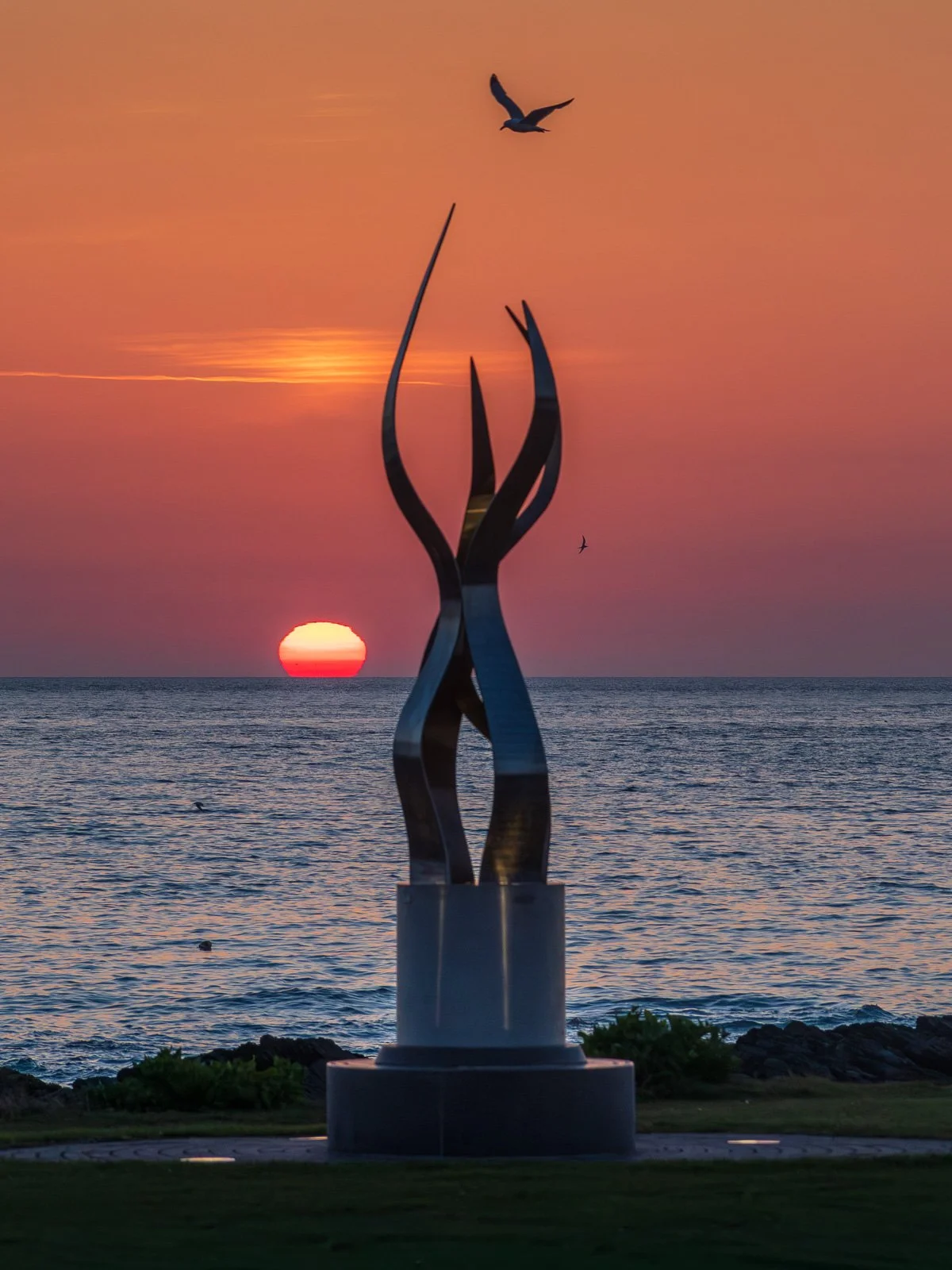 2026-05-26 Skerries Tidy Towns sculpture sunrise bird.jpg