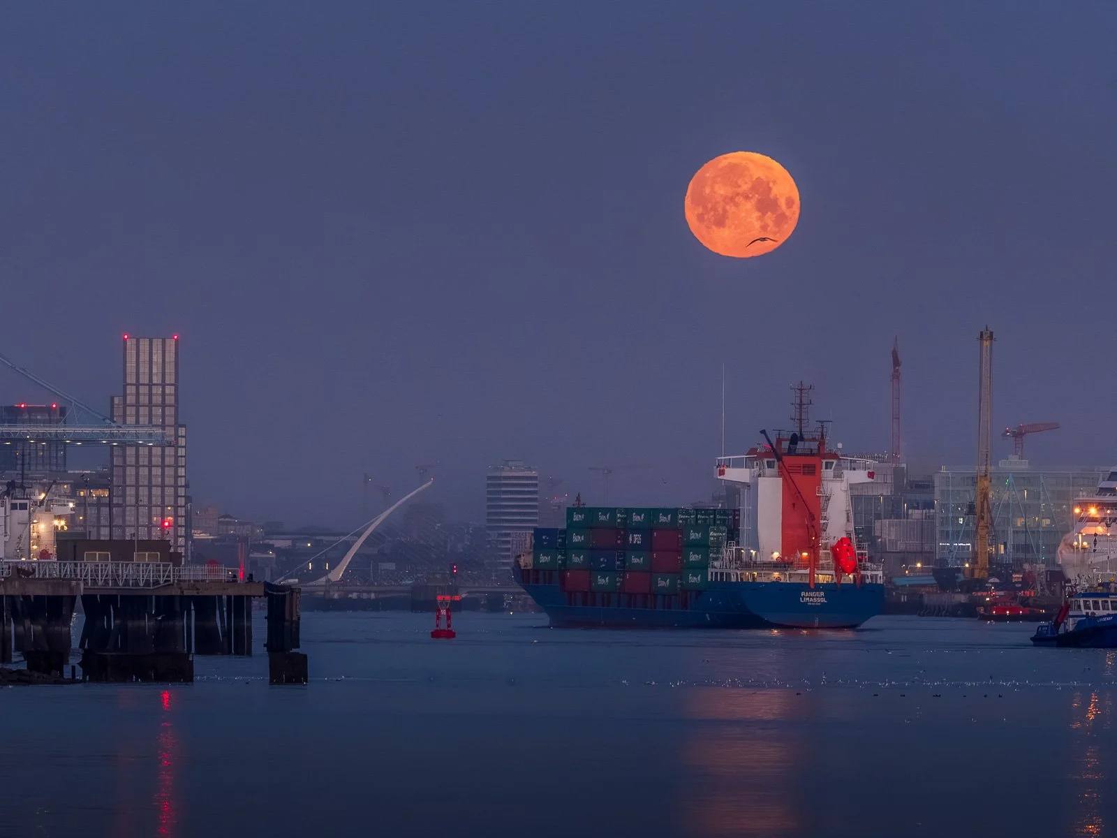 2026-03-03 Dublin City moonset alignment with bird and boat.jpg