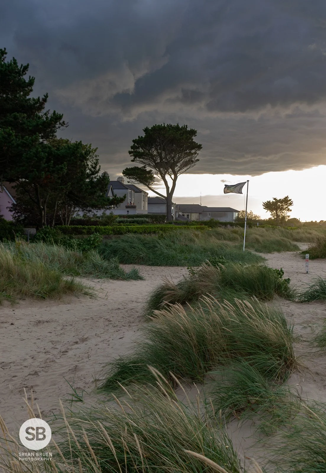 2020-08-28 Burrow Beach stormy sky tree 28 August 2020.jpg