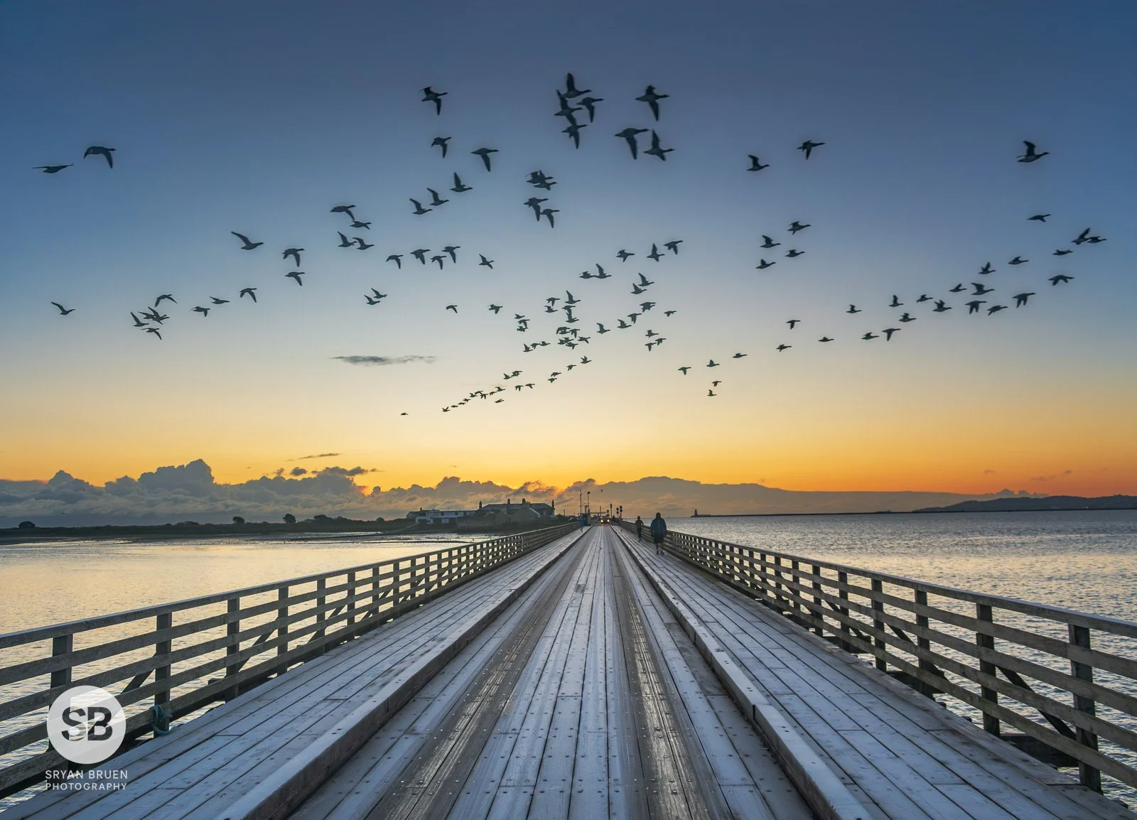 2025-11-20 Wooden Bridge frost sunrise brent geese murmuration.jpg