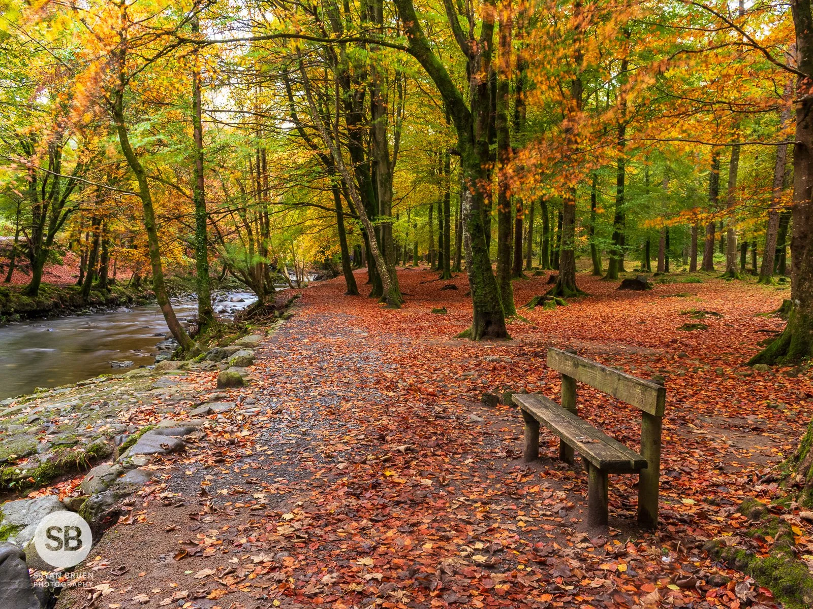 2023-11-03 Tollymore autumn bench 3 November 2023.jpg