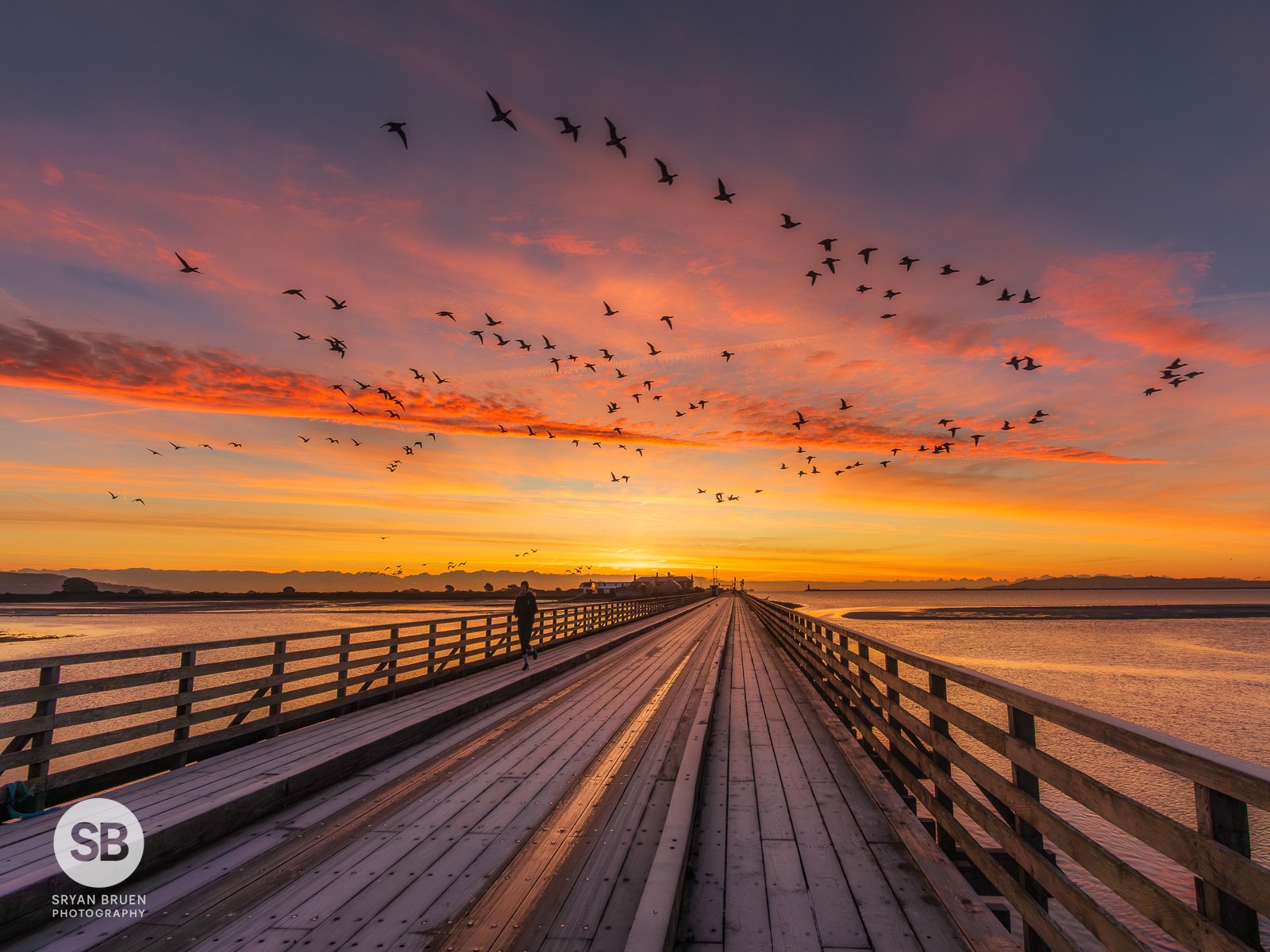 2025-11-21 Brent geese flying over colourful Wooden Bridge sunrise.jpg