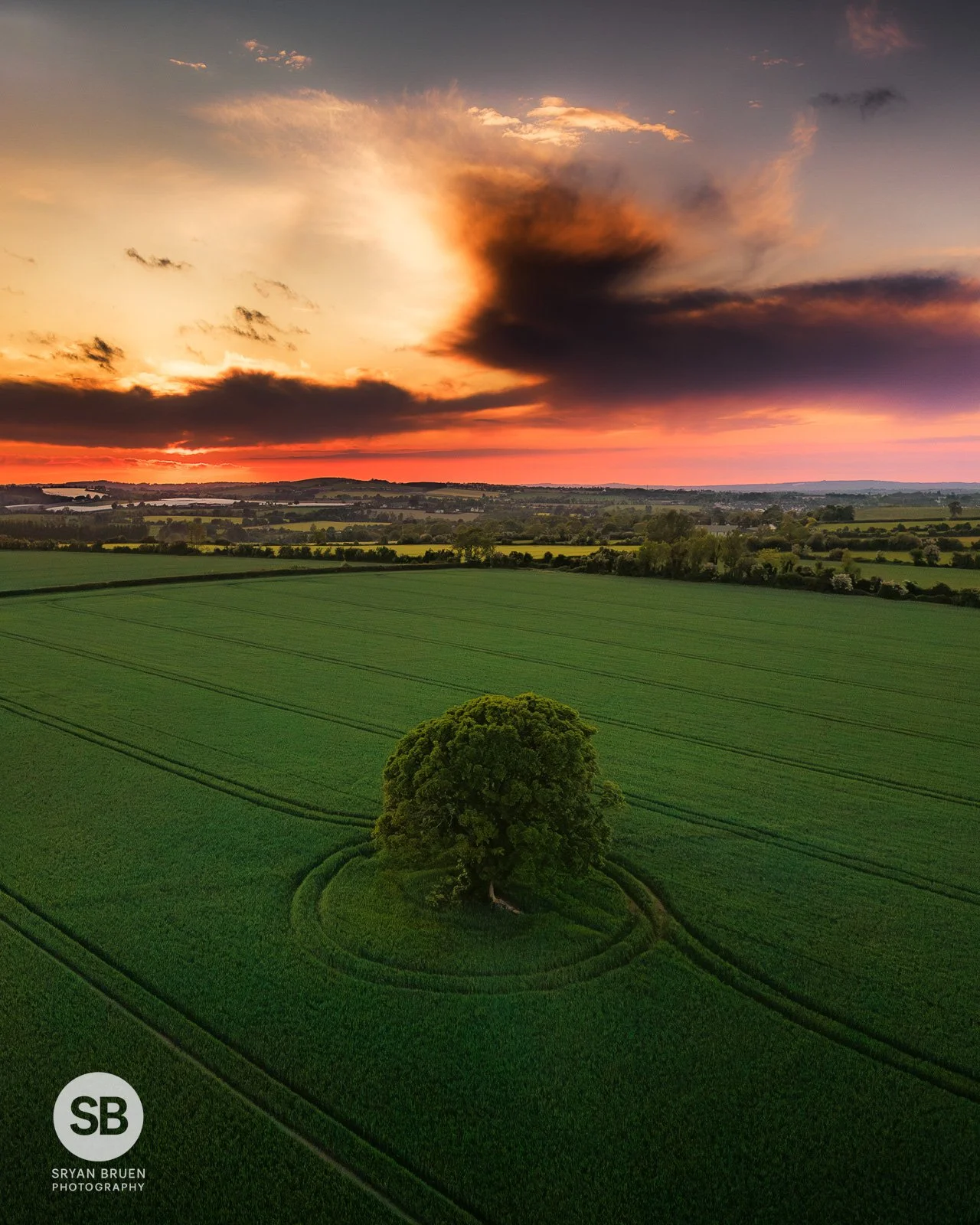 2025-05-19 Naul fairy tree sunset 19 May 2025.jpg