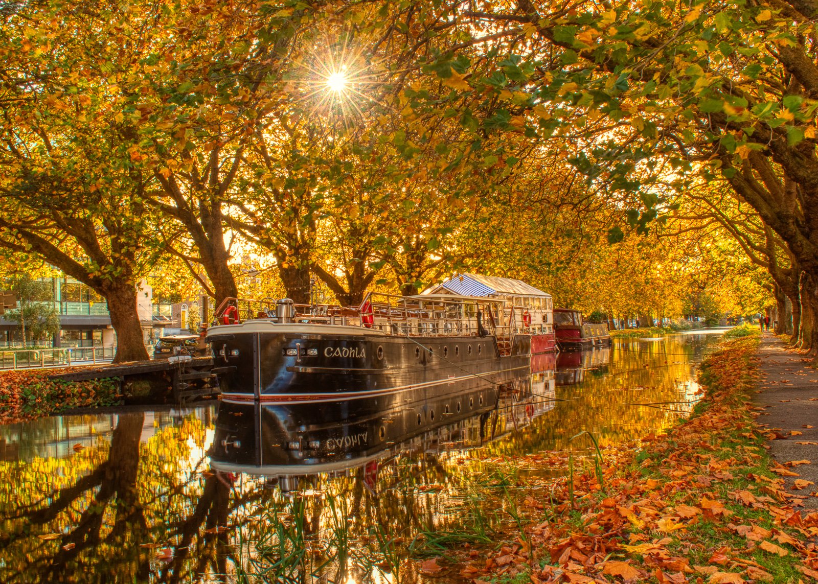 2021-10-30 Grand Canal autumn colours sunburst reflections 30 October 2021.jpg