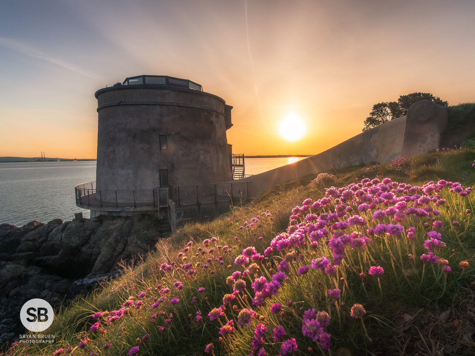 2025-05-06 Sutton Martello Tower sunset flora 6 May 2025.jpg
