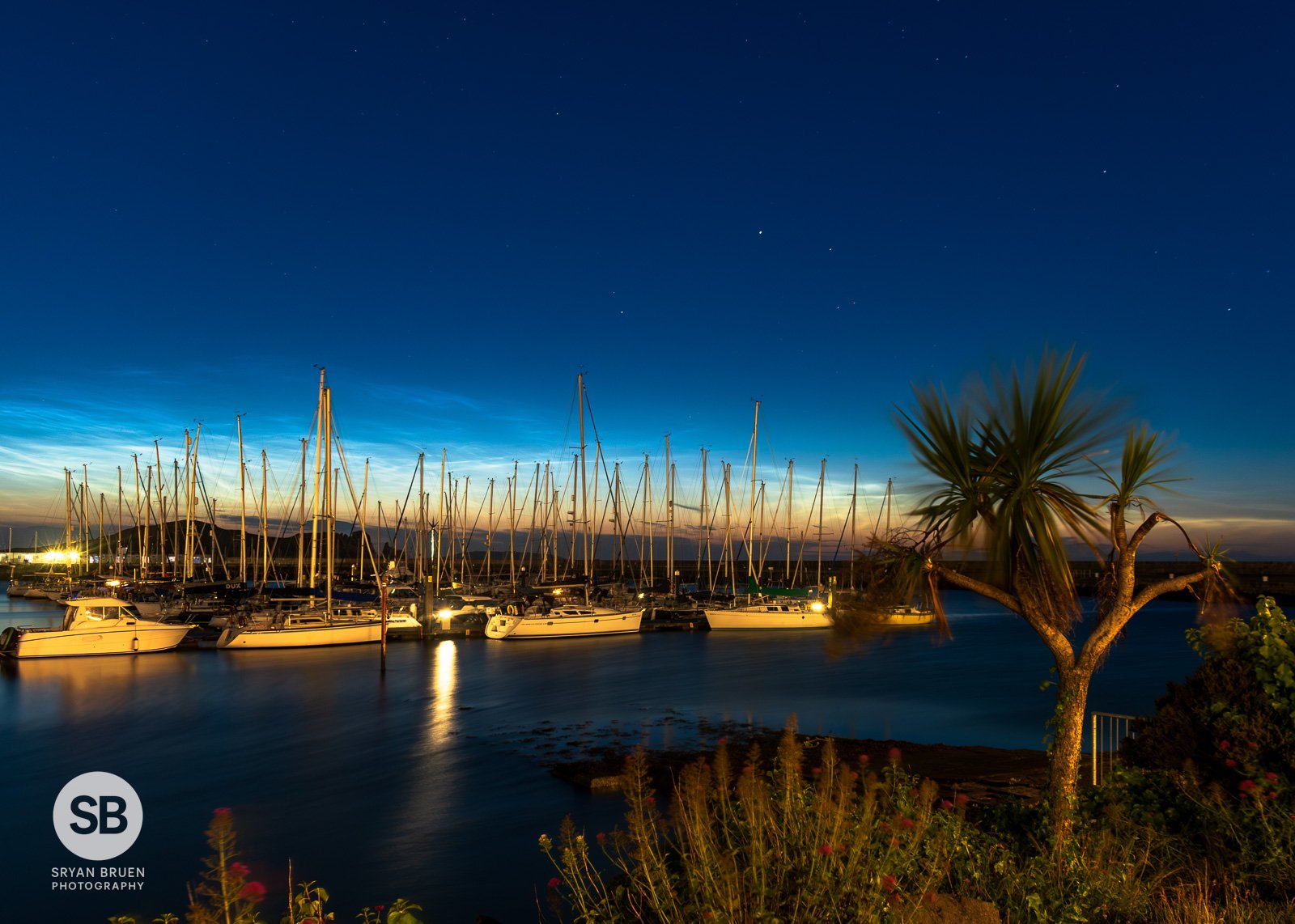 2023-07-04 Howth Marina noctilucent clouds with tree 4 July 2023.jpg