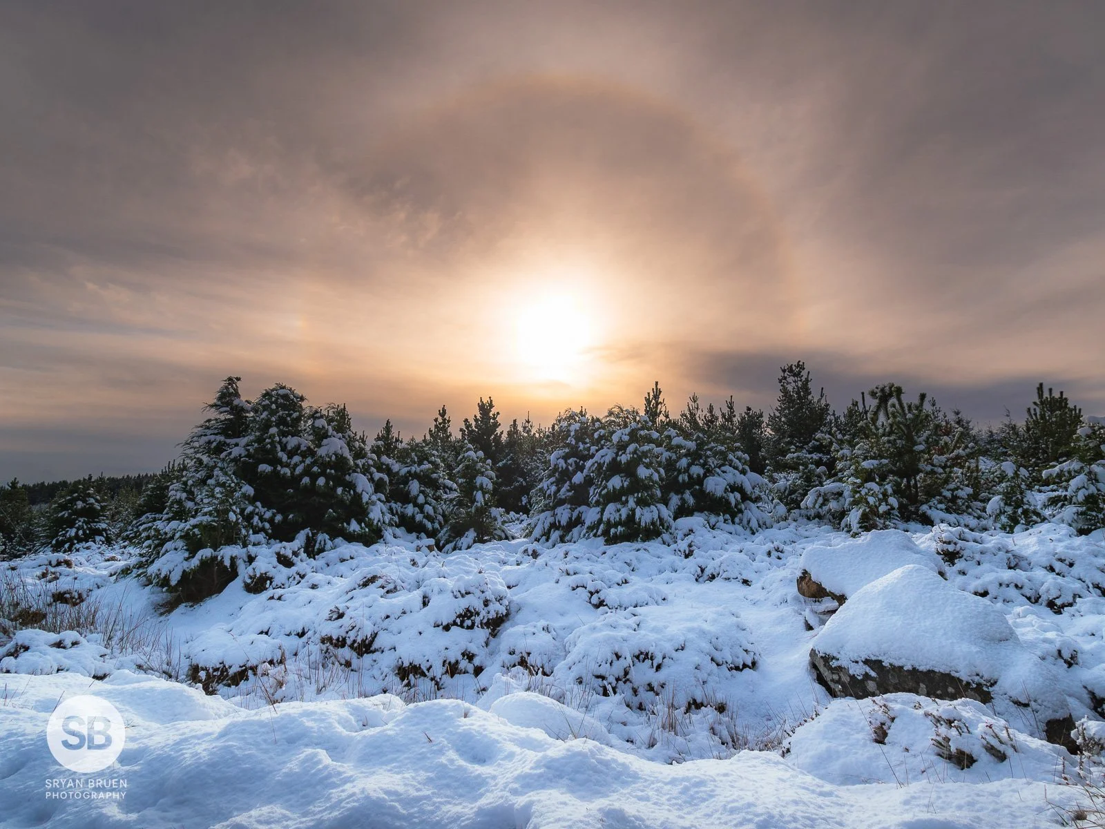 2024-11-21 Sally Gap snow solar halo 21 November 2024.jpg