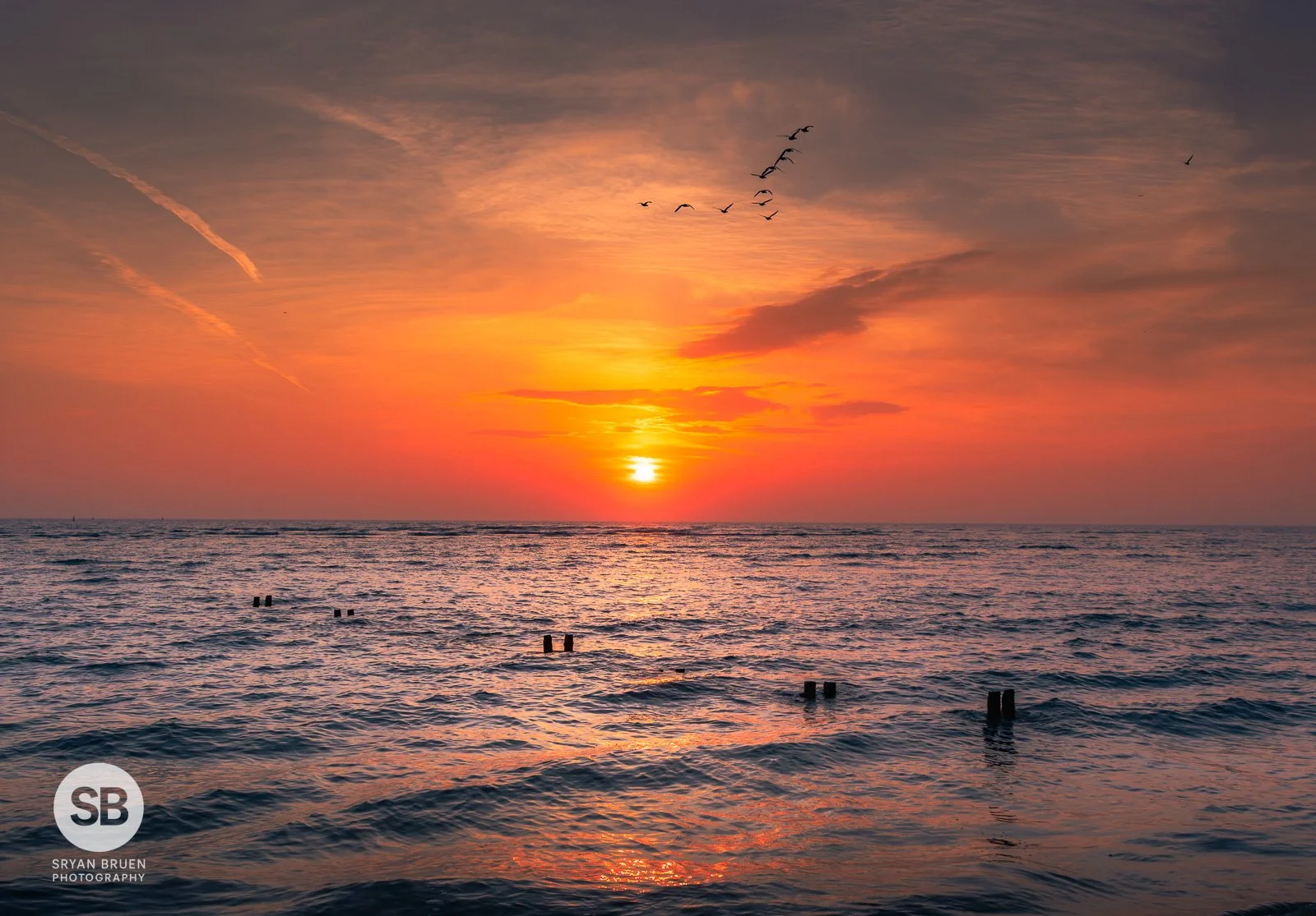 2025-03-09 Malahide Beach sunrise birds 9 March 2025.jpg
