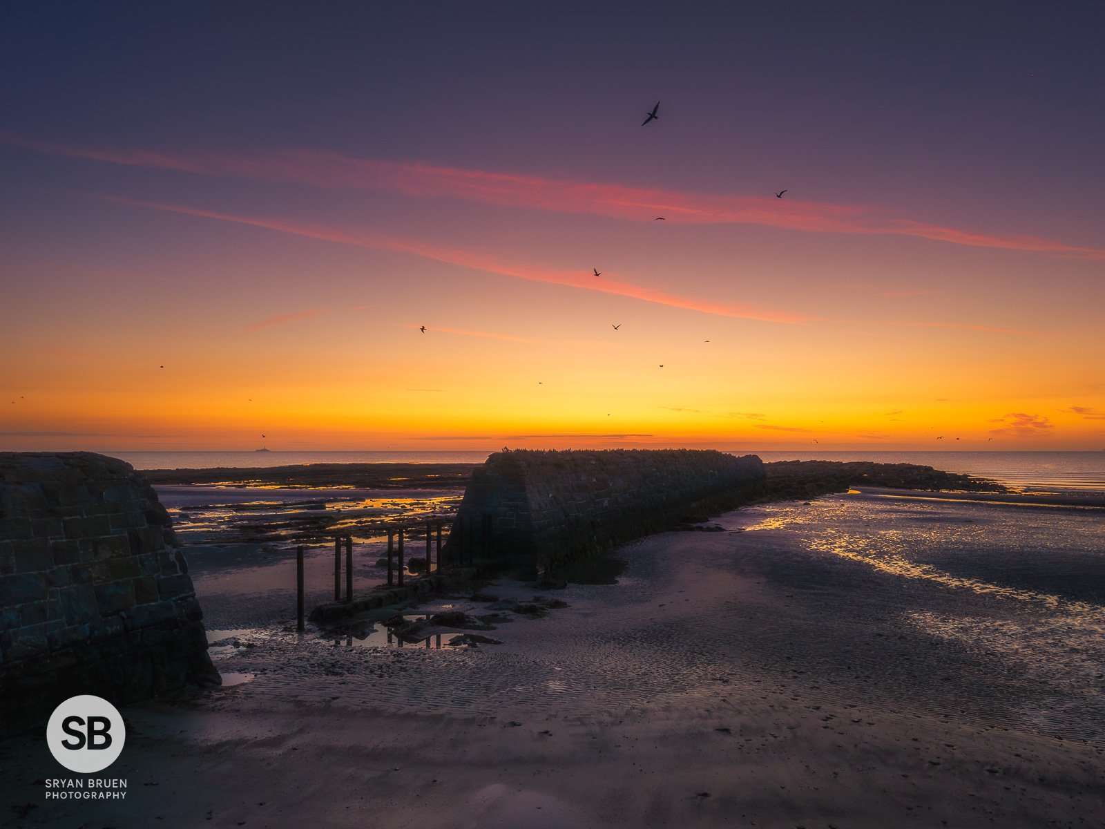 2025-08-10 Rush range wall sunrise dawn birds.jpg