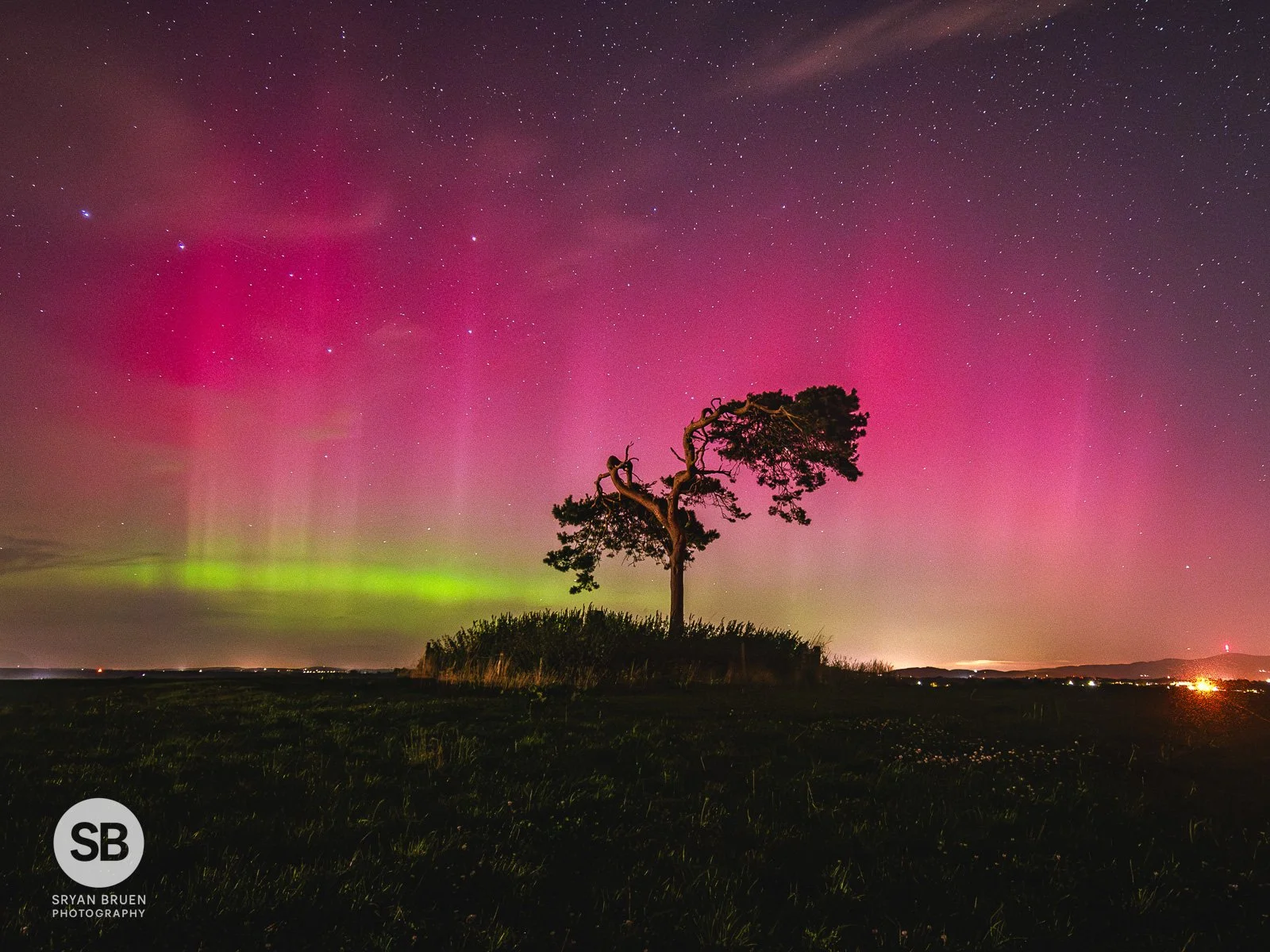 2024-09-13 Knockbridge fairy tree aurora borealis 13 September 2024.jpg