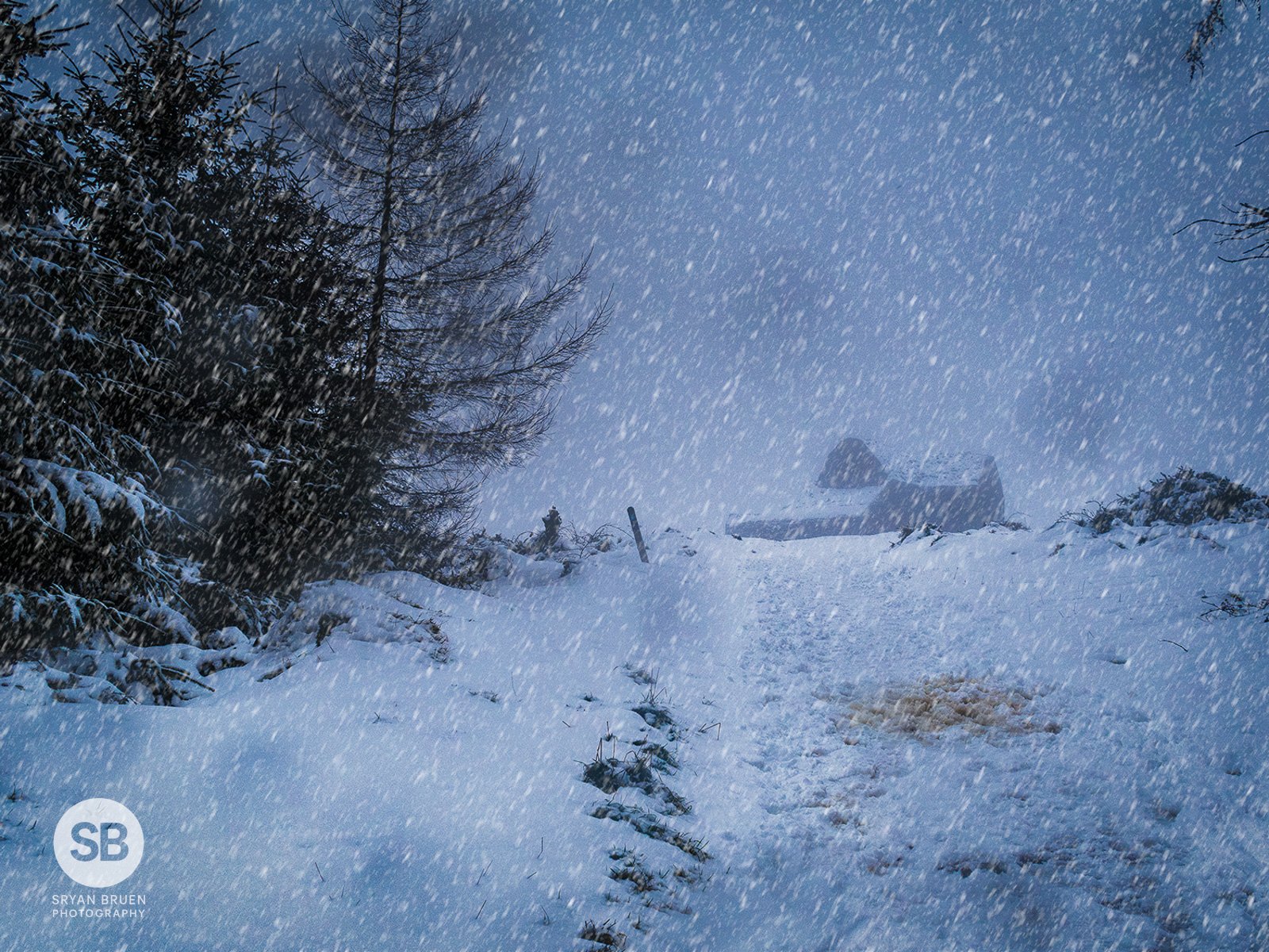 2025-01-05 Hellfire Club snow falling composite 5 January 2025.jpg