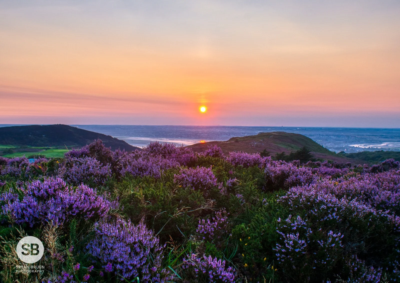 2021-08-25 Howth heather sunset 25 August 2021.jpg