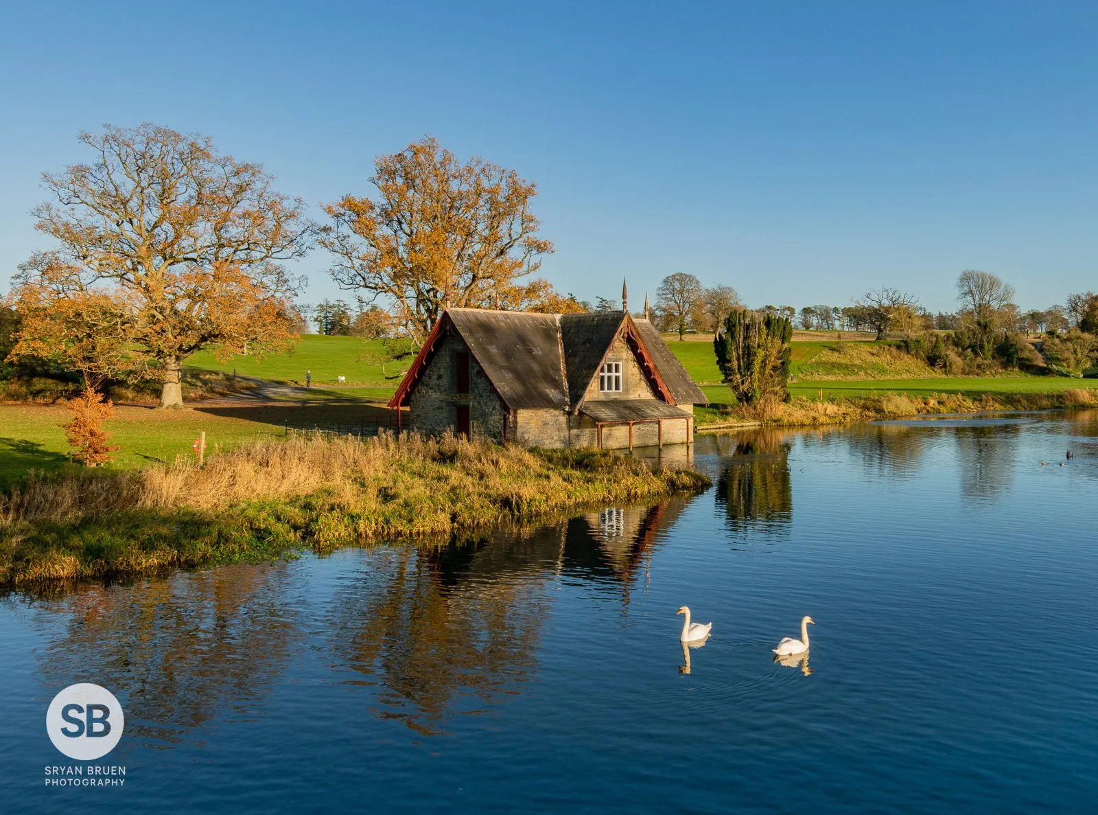 2022-12-15 Carton House swans and blue sky reflections 15 December 2022.jpg