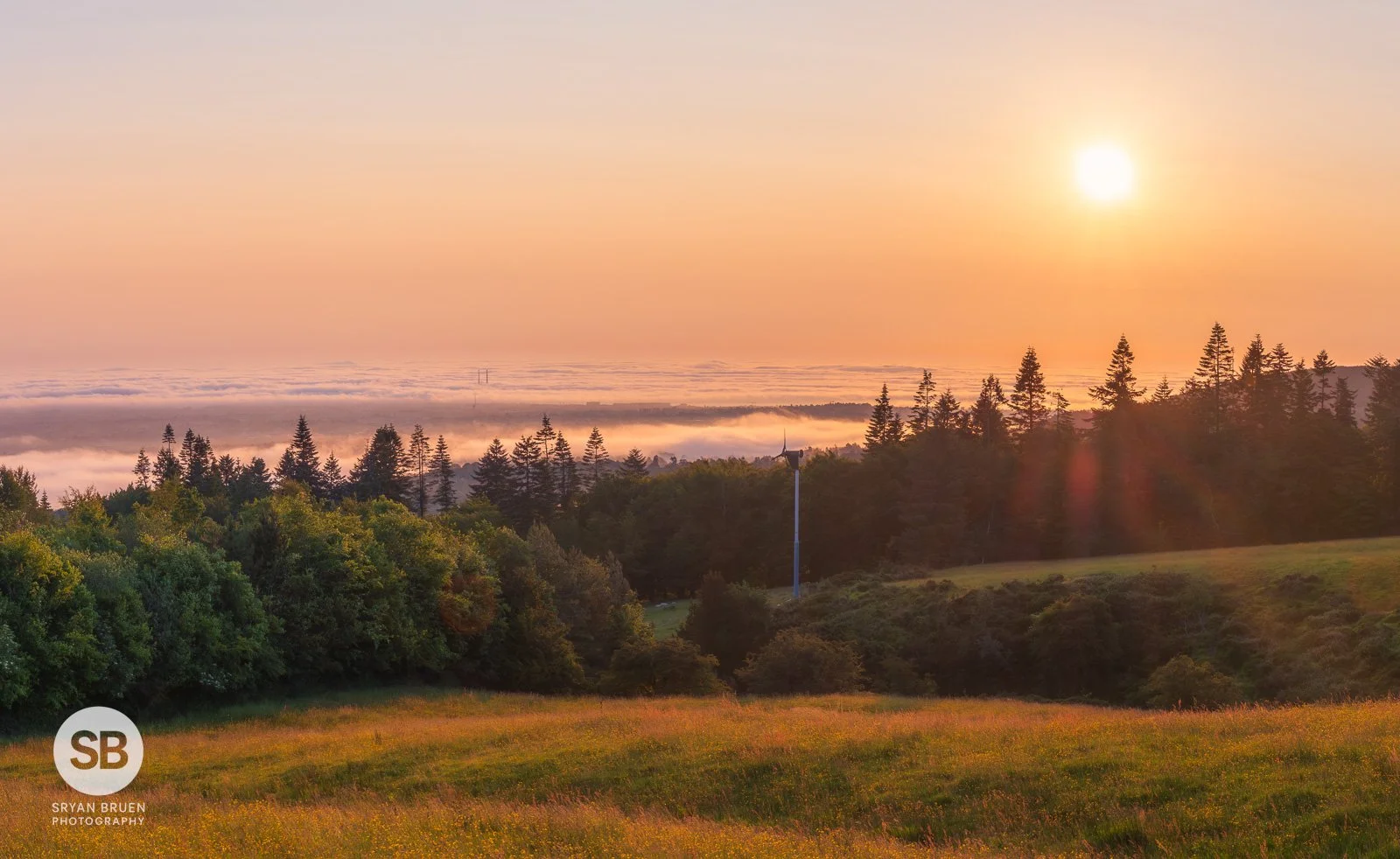 2025-06-19 Kilakee Viewpoint sunrise fog 19 June 2025.jpg
