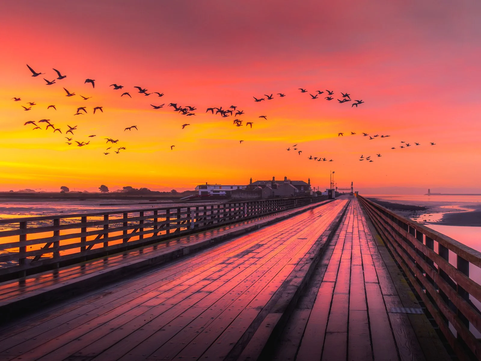 Wooden Bridge Brent Geese Red Sky