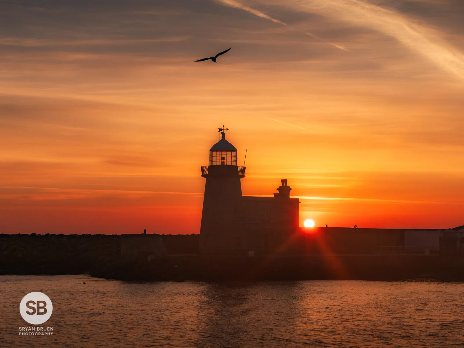 2026-04-23 Howth Lighthouse sunrise bird.jpg