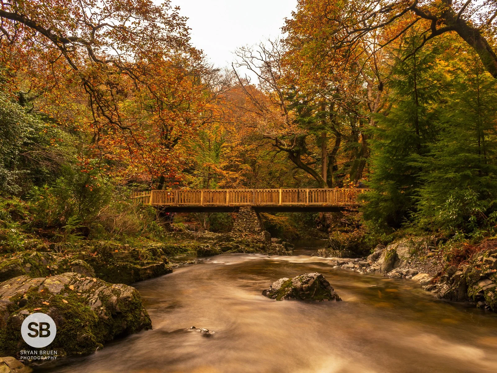 2023-11-03 Tollymore autumn colours 3 November 2023.jpg