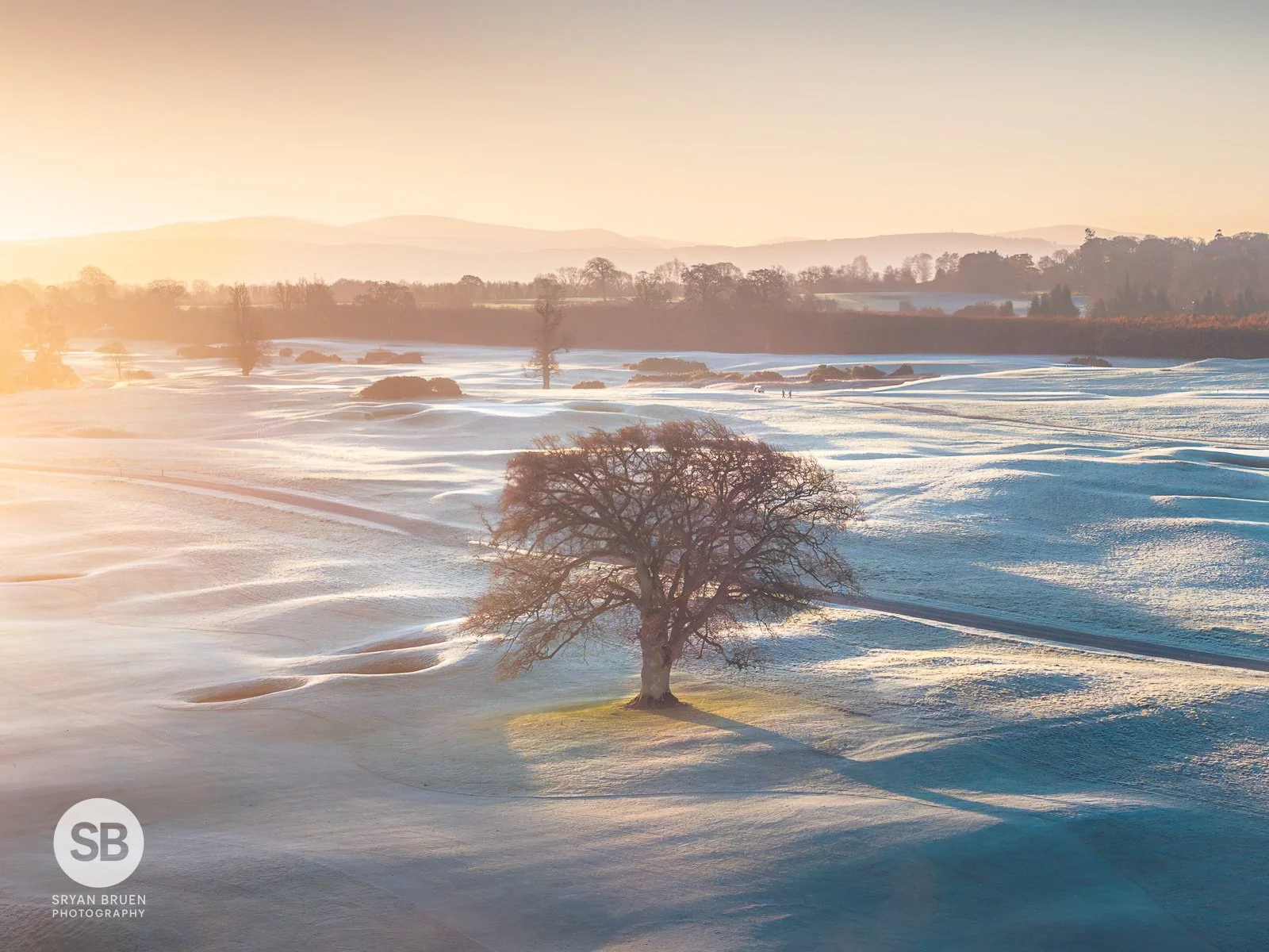 2024-11-26 Carton House frosty tree sunrise 26 November 2024.jpg