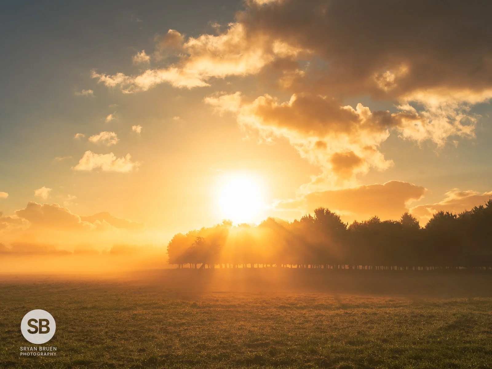 2023-10-25 Phoenix Park mist 3 25 October 2023.jpg