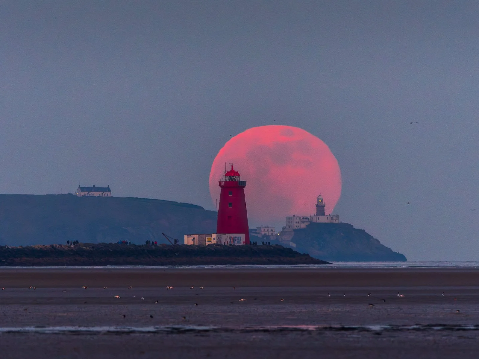 2024-02-24 Poolbeg and Baily Lighthouse moonrise 24 February 2024.jpg