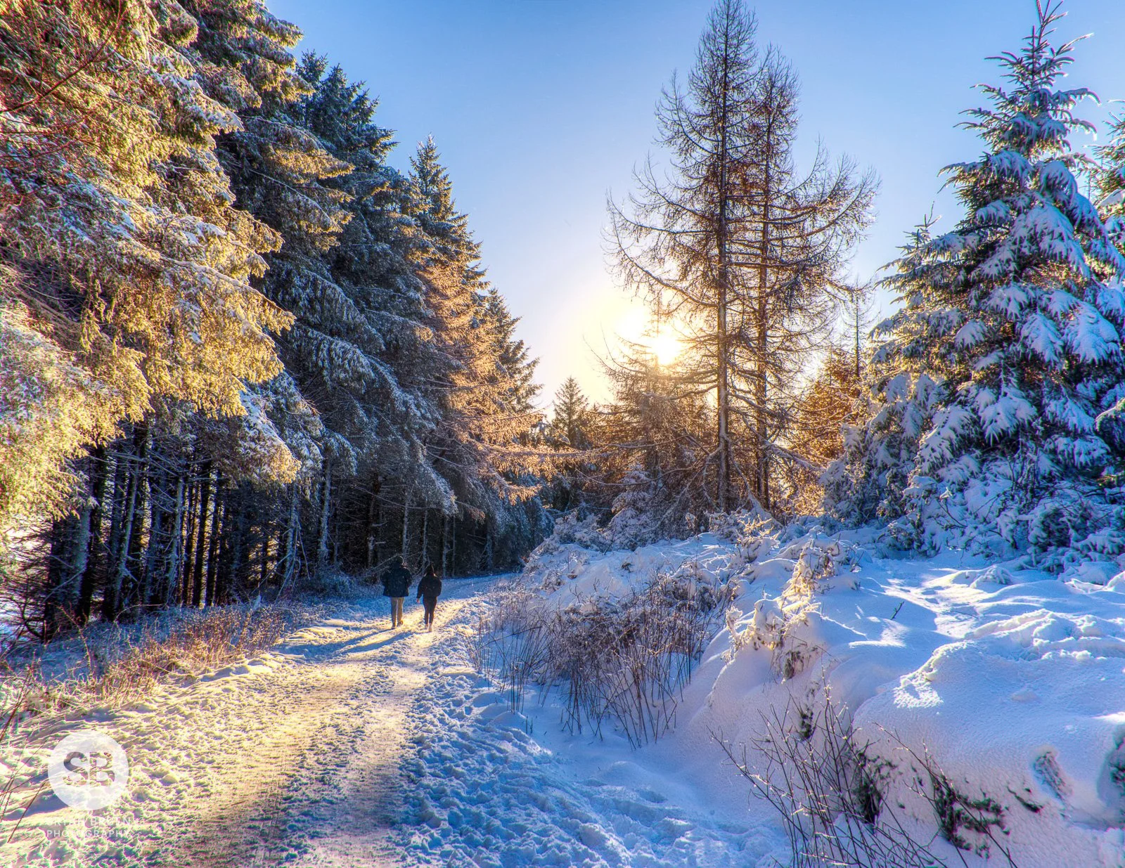 2023-03-10 Hellfire Trail snow stroll 10 March 2023.jpg