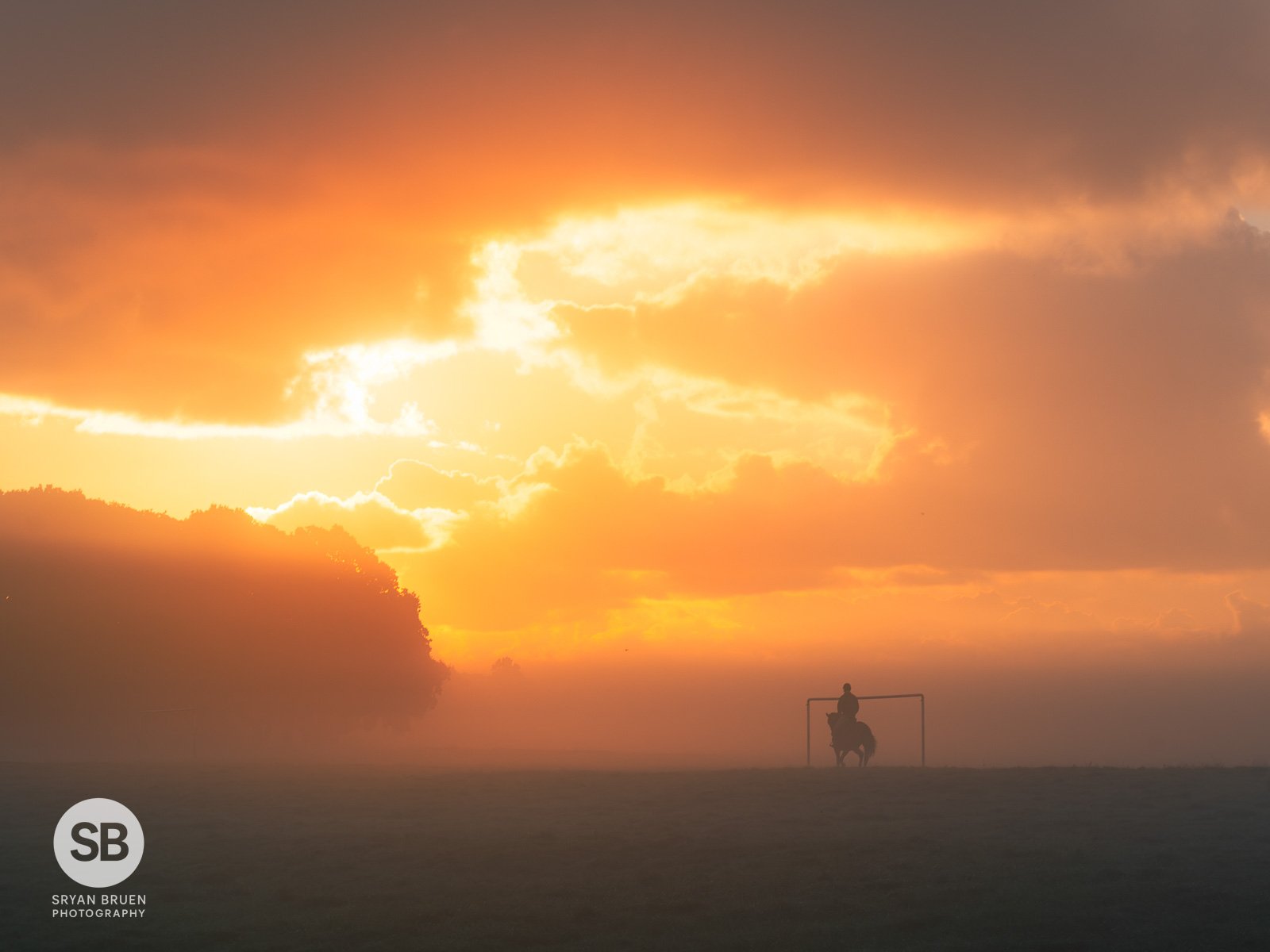 2023-10-25 Phoenix Park mist 4 25 October 2023.jpg