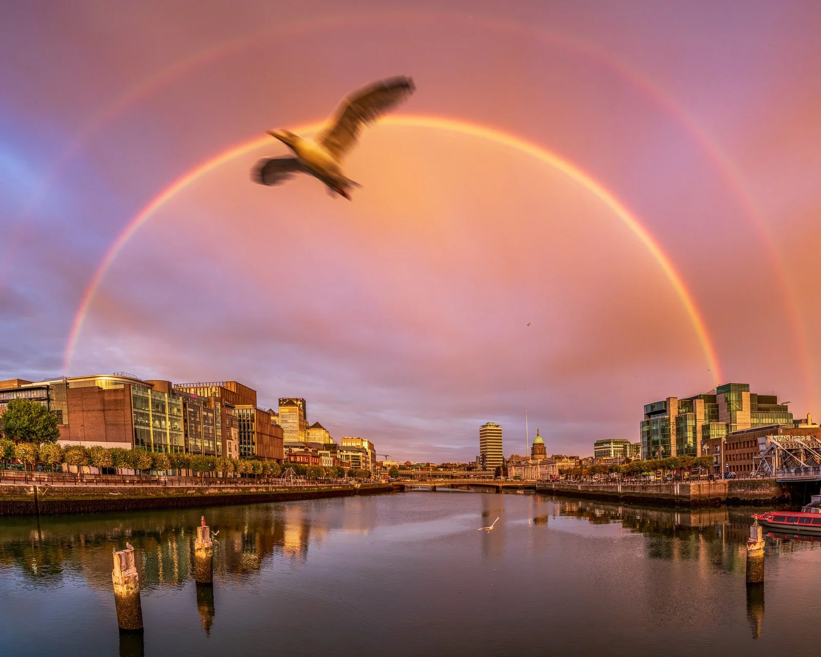 _Z8S3693-Pano-2-Edit.jpg