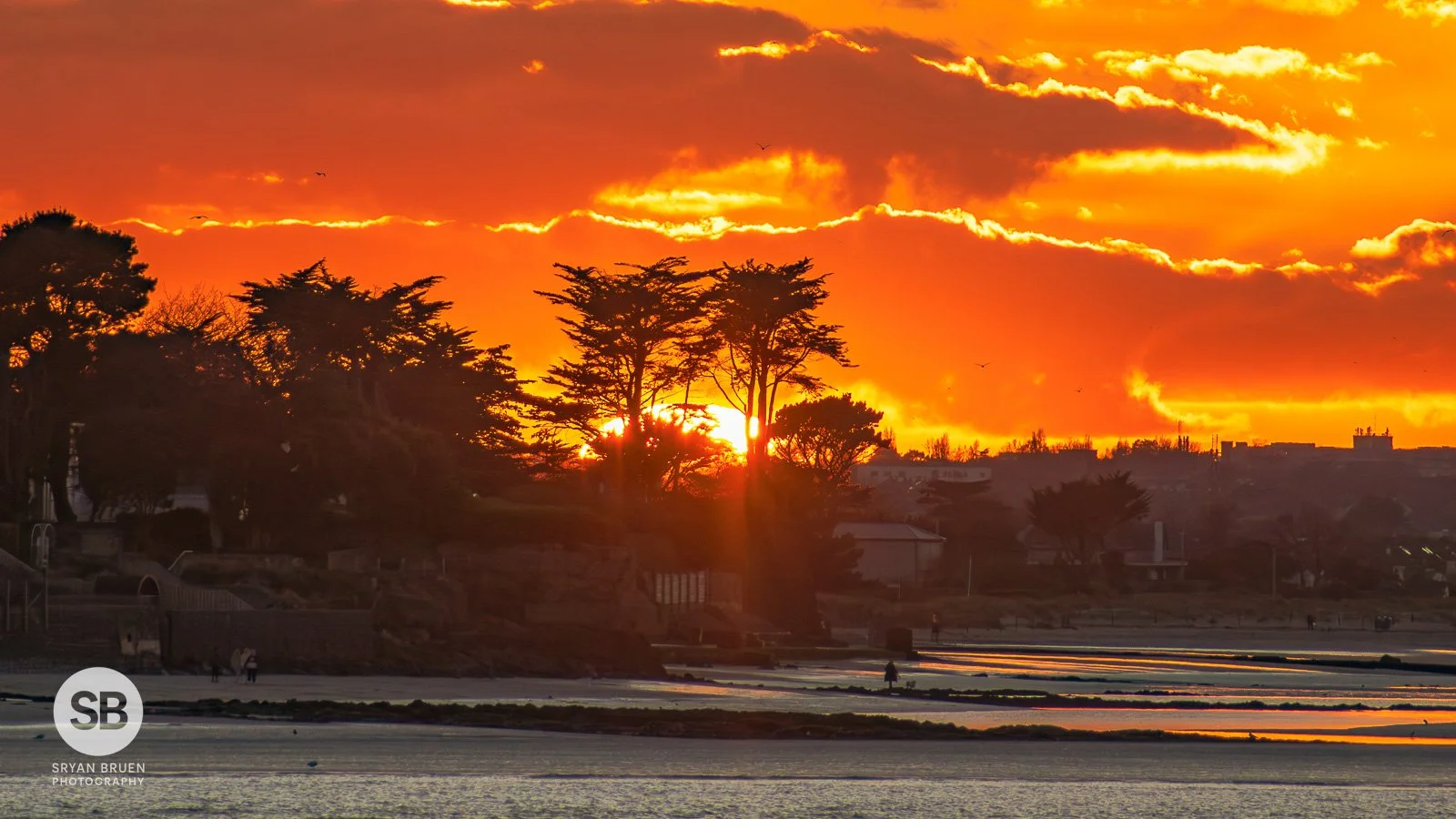 2024-03-15 Burrow Beach trees sunset 15 March 2024.jpg