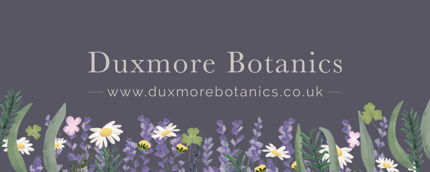Duxmore_Branding1.png