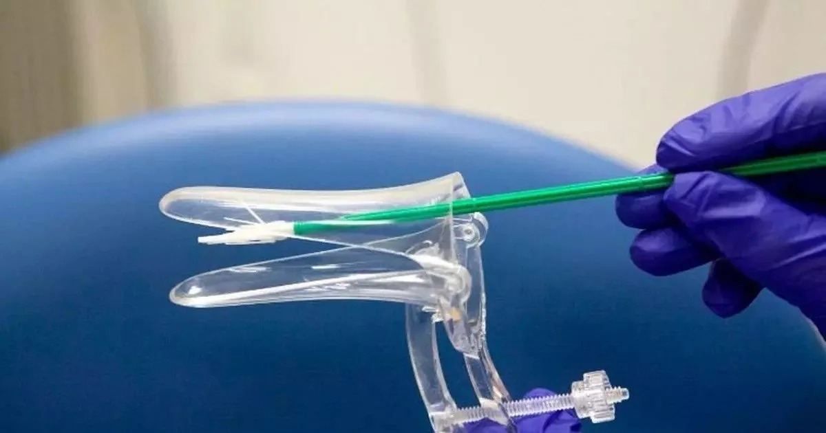 Person wearing purple gloves using a green tool to insert a plastic reinforcement into a clear medical device, possibly a plastic prosthetic or surgical instrument, against a blue medical chair background.