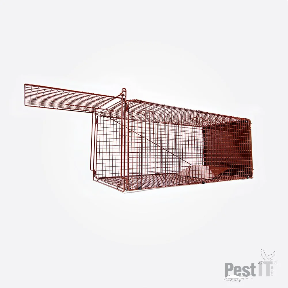 Mini Magnet Trap.jpg