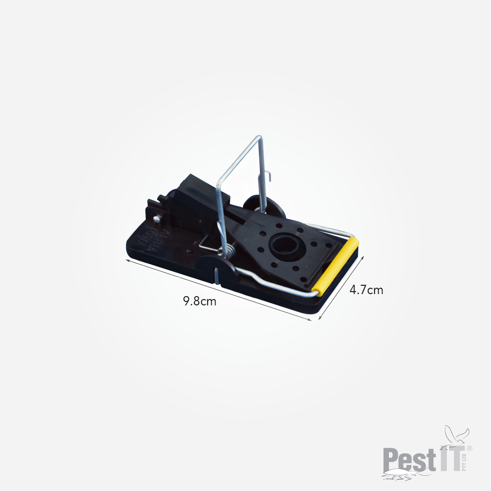 eofy Viper Snap Trap Rat 25.png