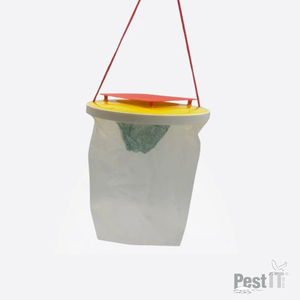 The Viper Fly Trap Bag.jpg