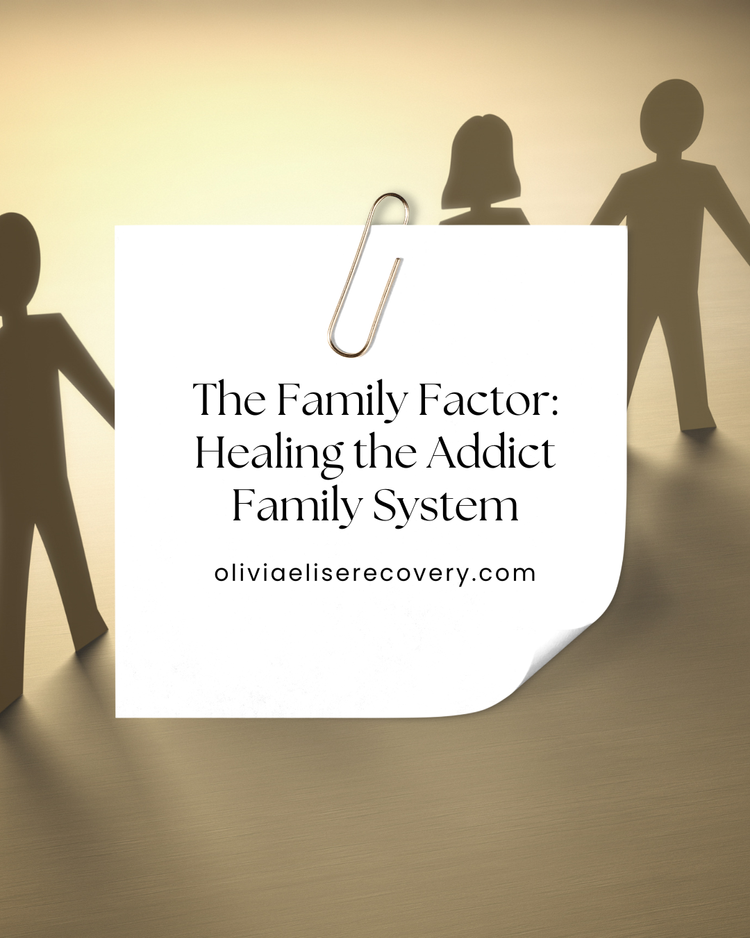 The Family Factor course cover