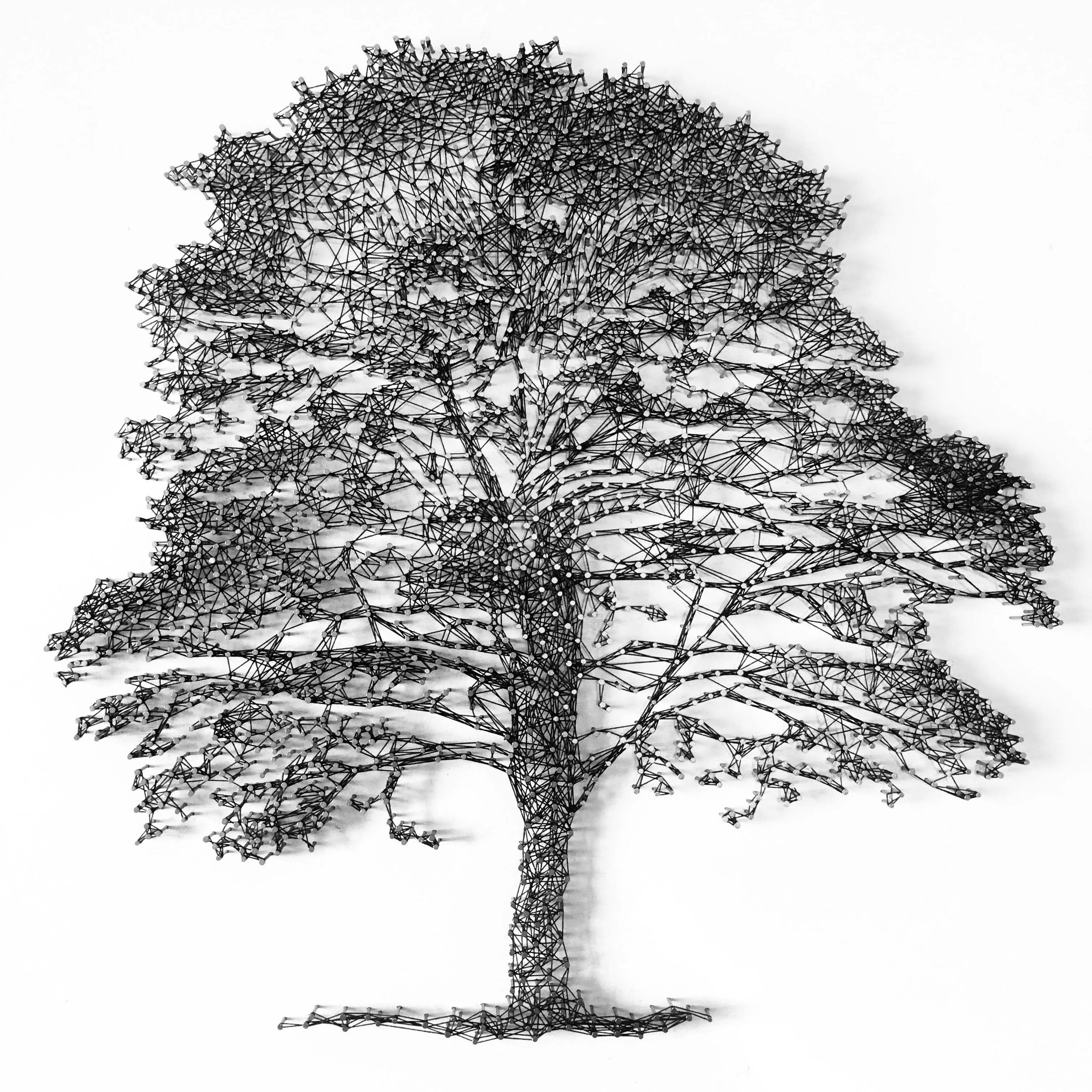 tree copy.jpg