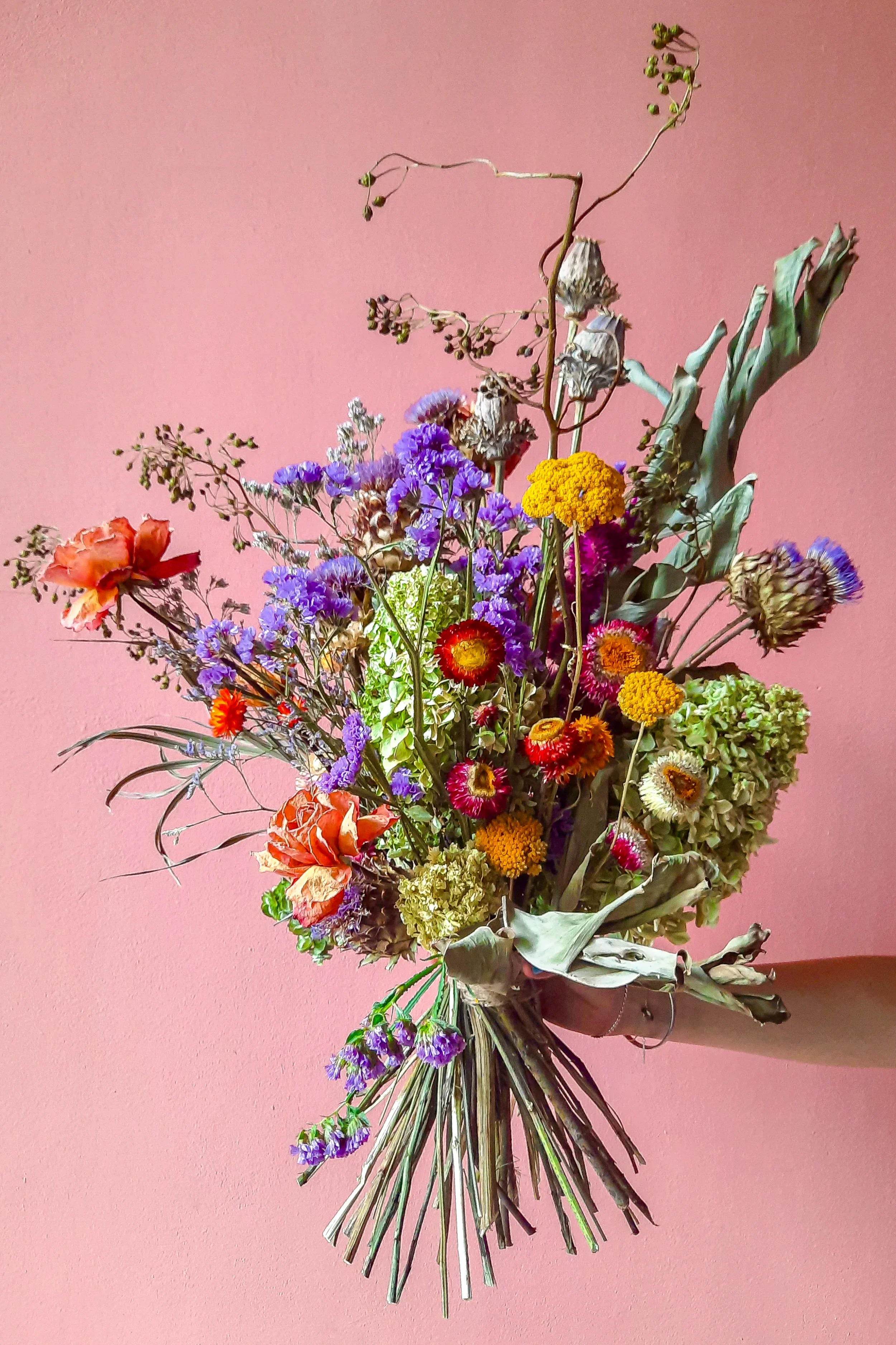 Dried flower bouquet with protea, allium and hydrangea against pink background, Berlin