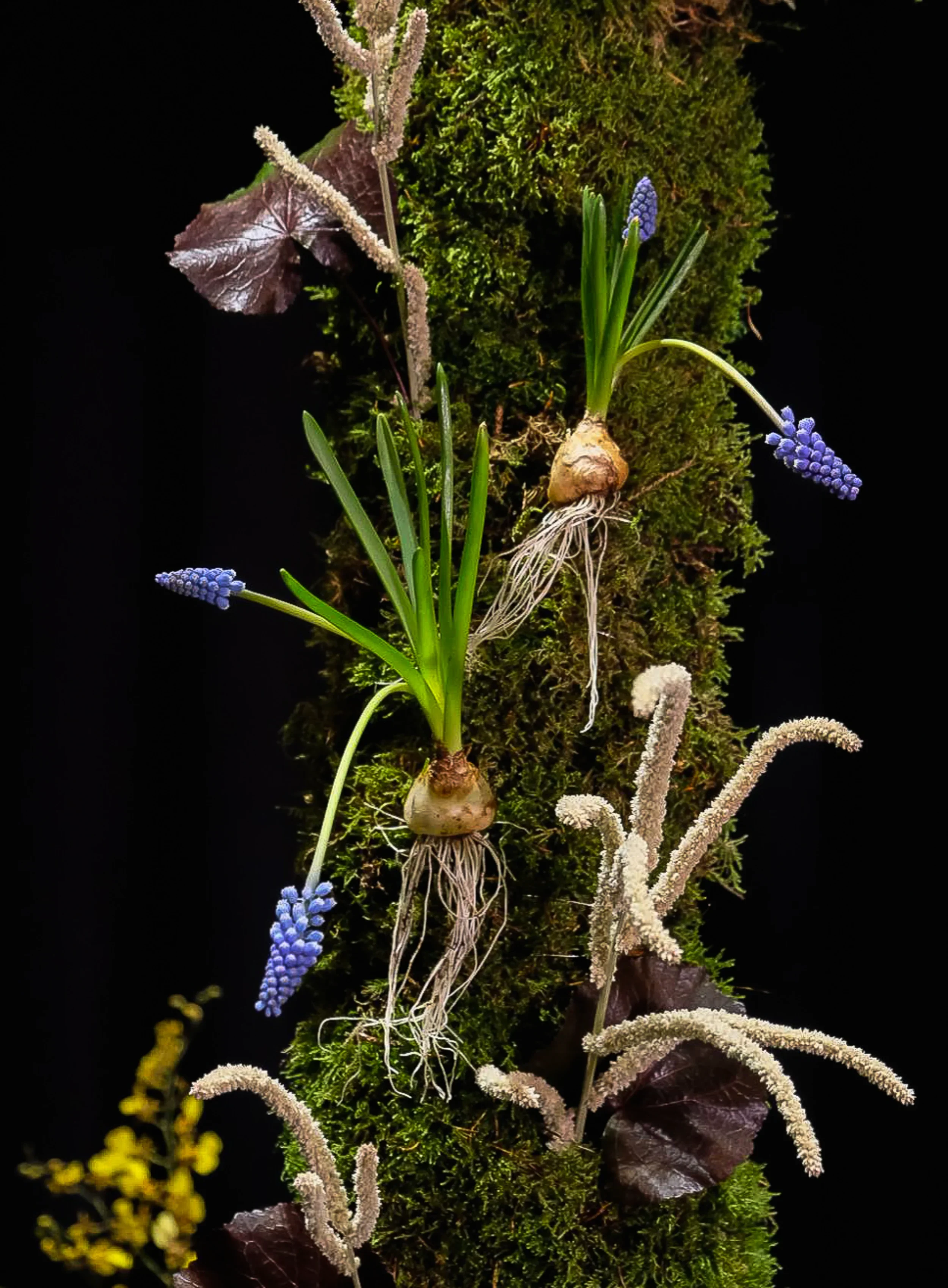 Close-up of floral art installation with moss, orchids and chickpeas, McQueens Flower School London