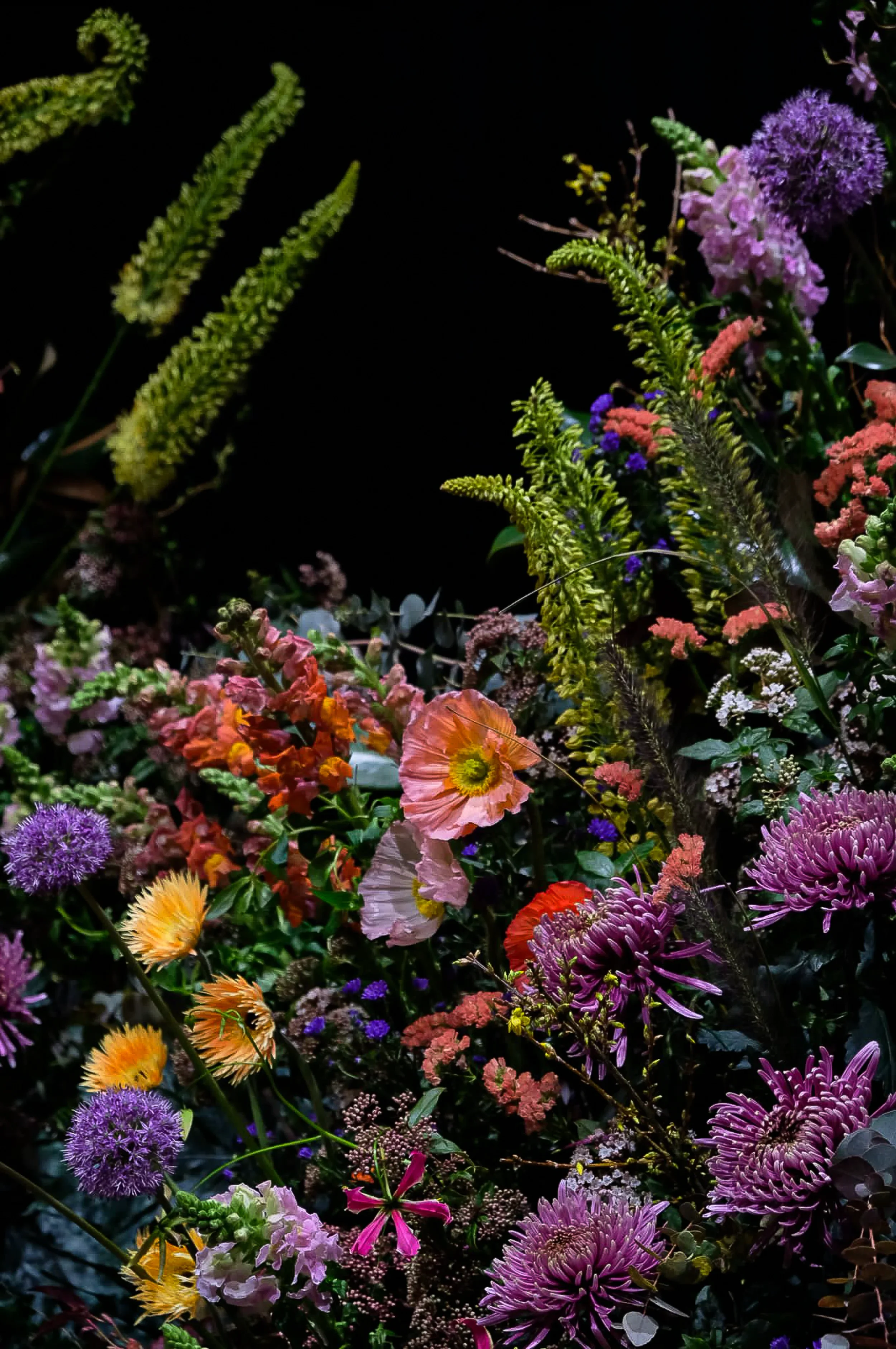 Close-up of flower landscape with allium, poppies and gerbera, McQueens Flower School London 2025