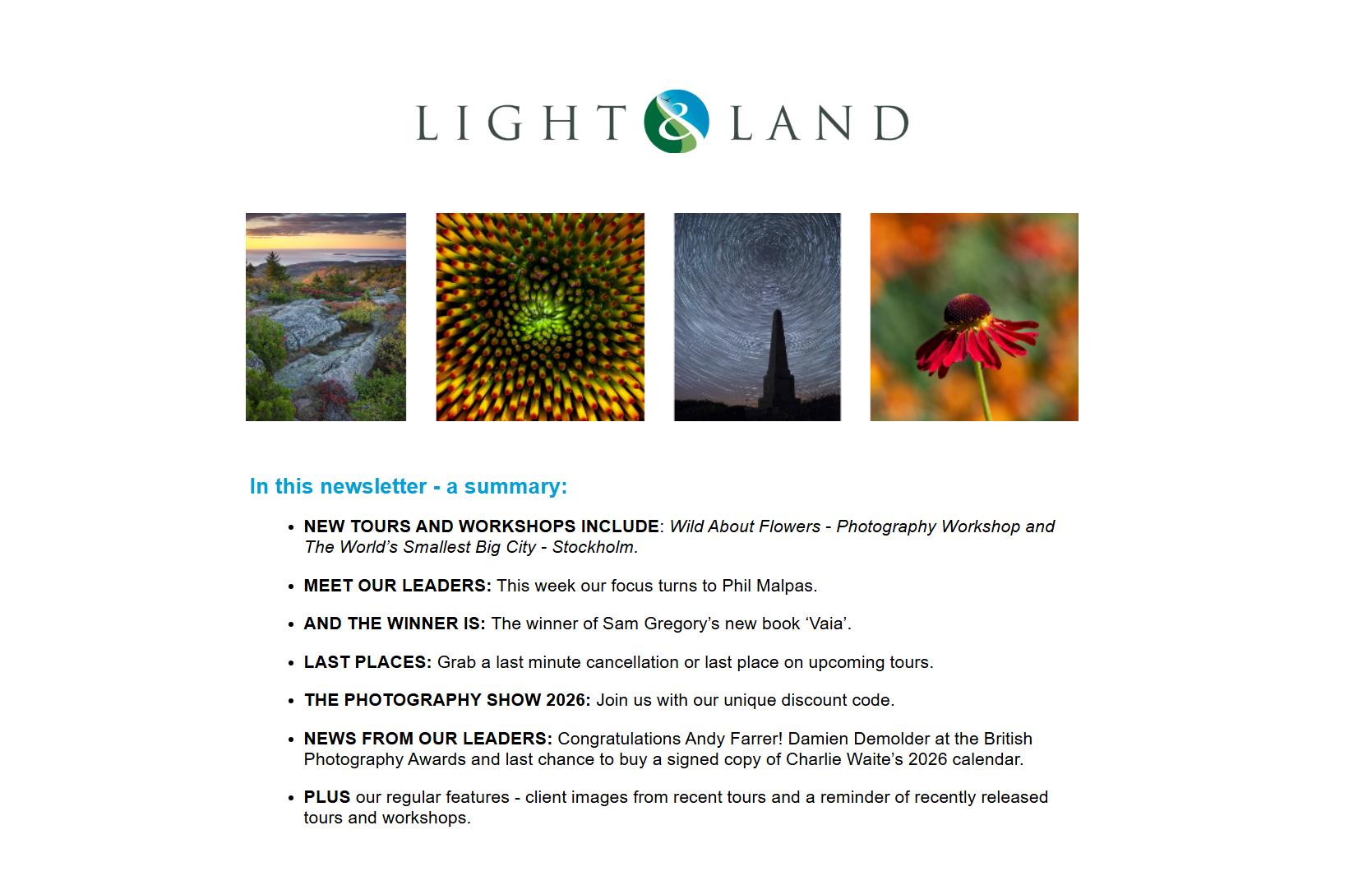 Light and Land Newsletter Nov 2025