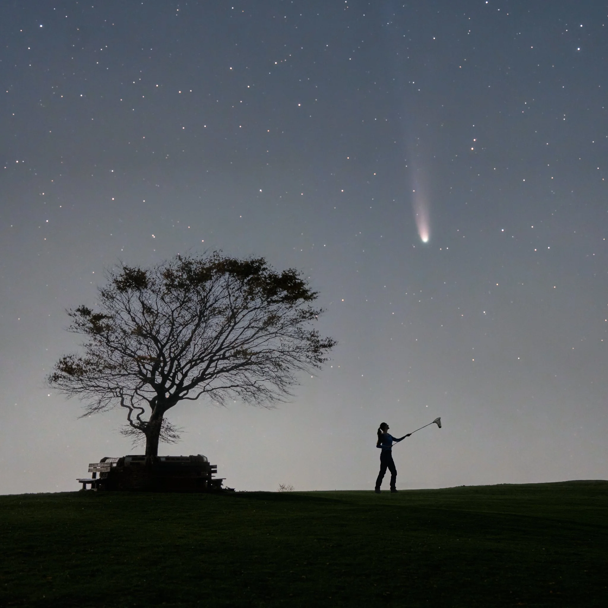 Catch a falling comet.jpg