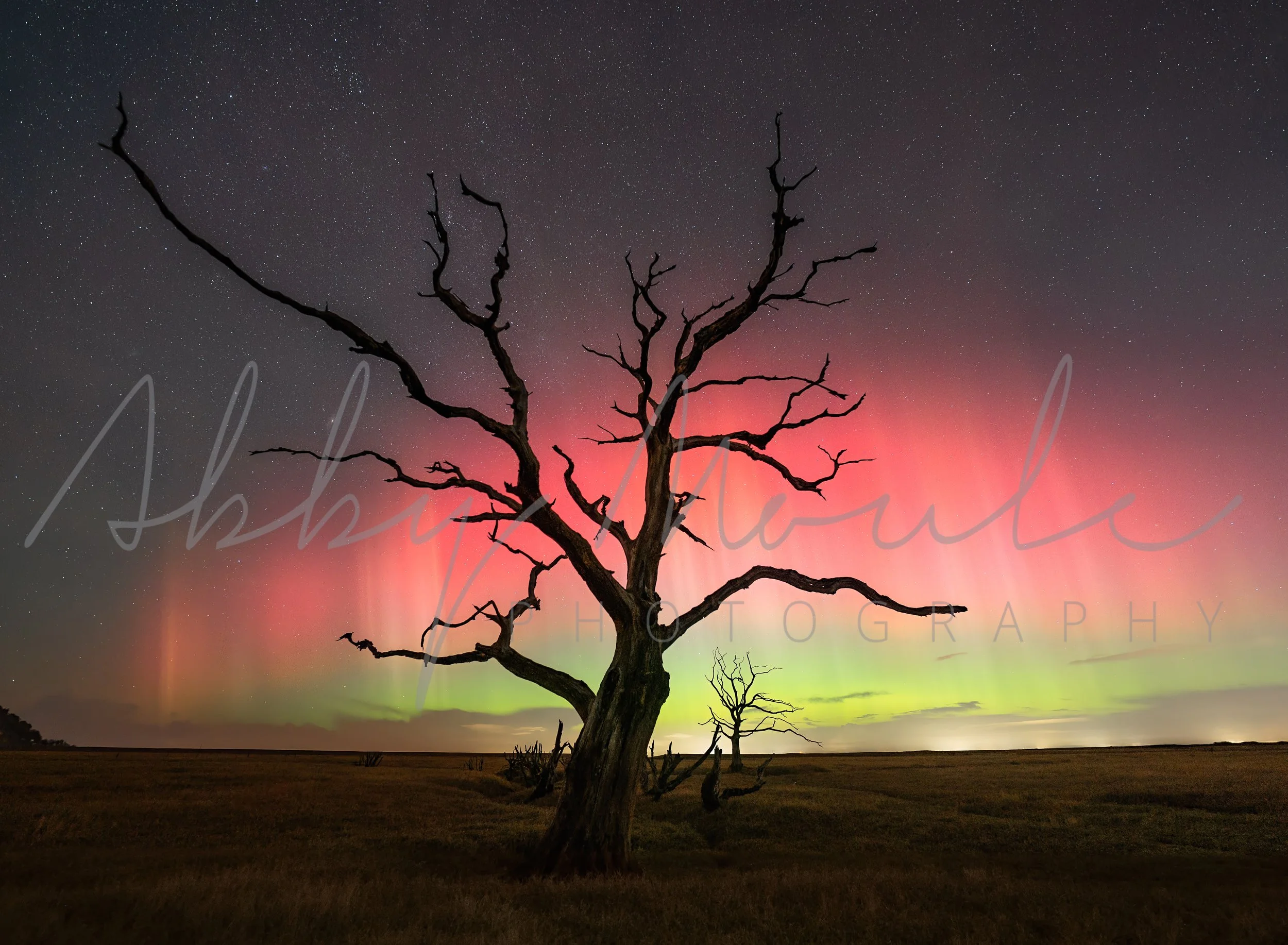 Aurora rising LR with sig.jpg