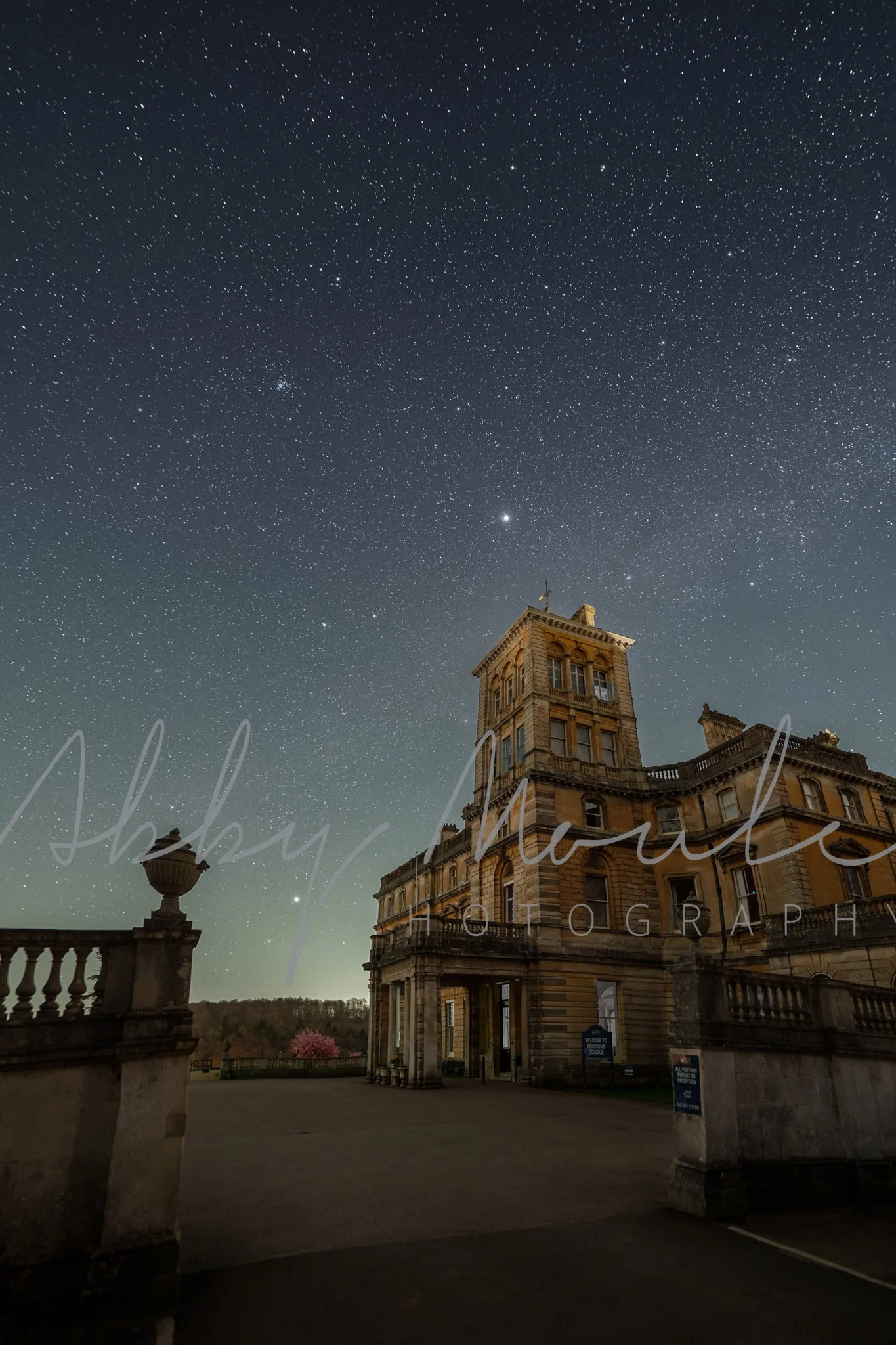 Rendcomb Collection 2.jpg