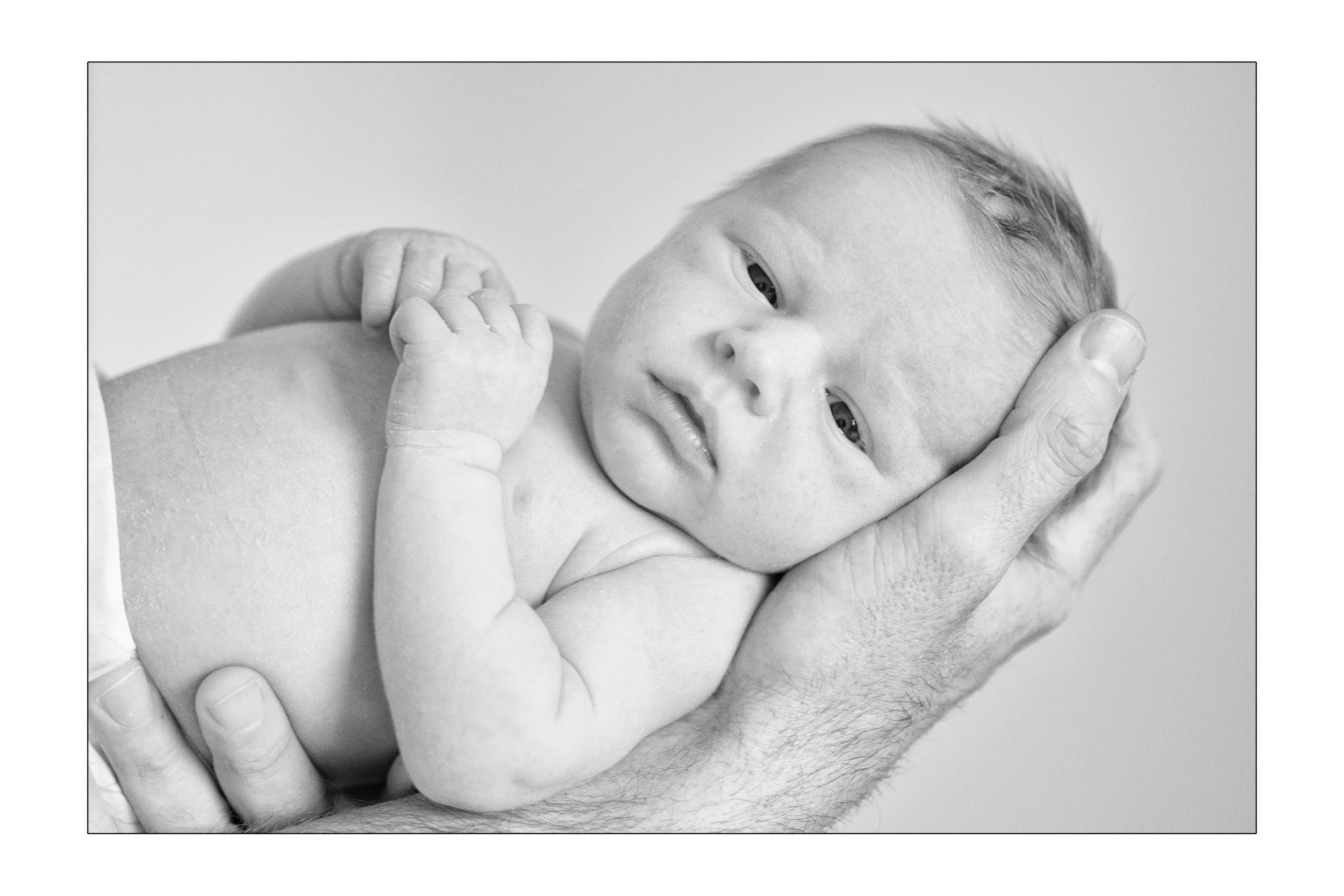 B0000112aprint_sized8 x 12.jpg