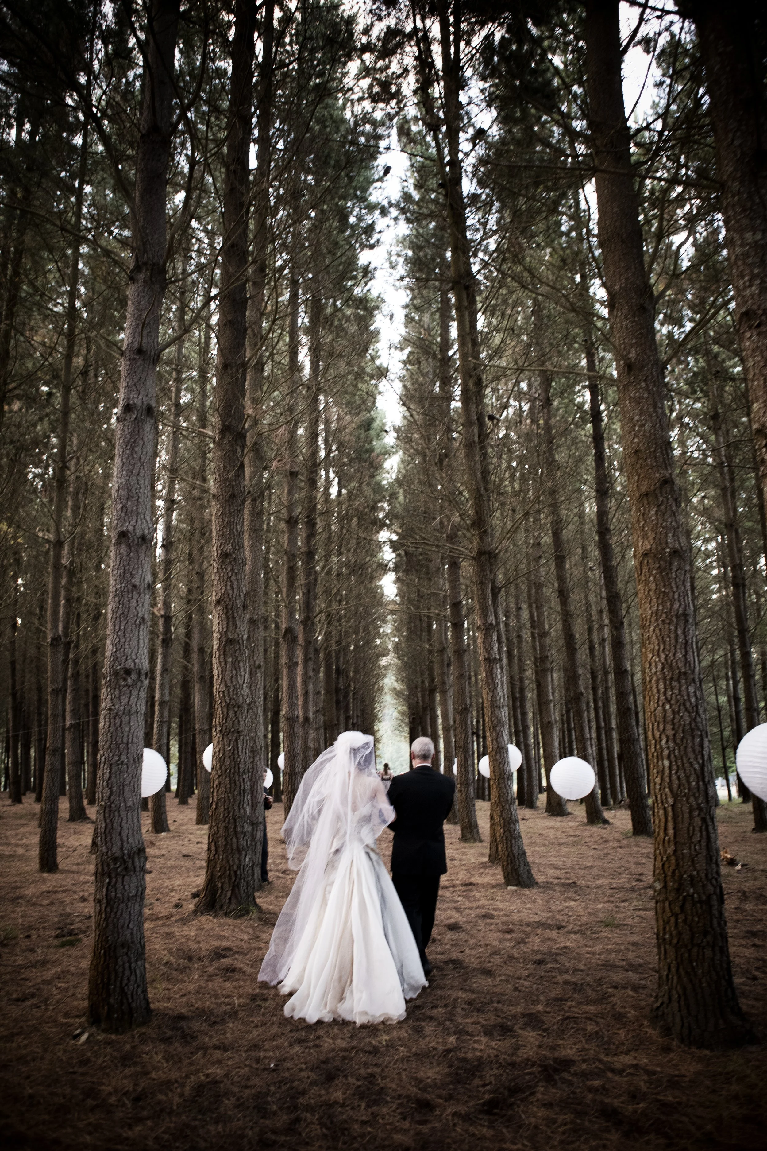 F0606 20100320jo1.jpg