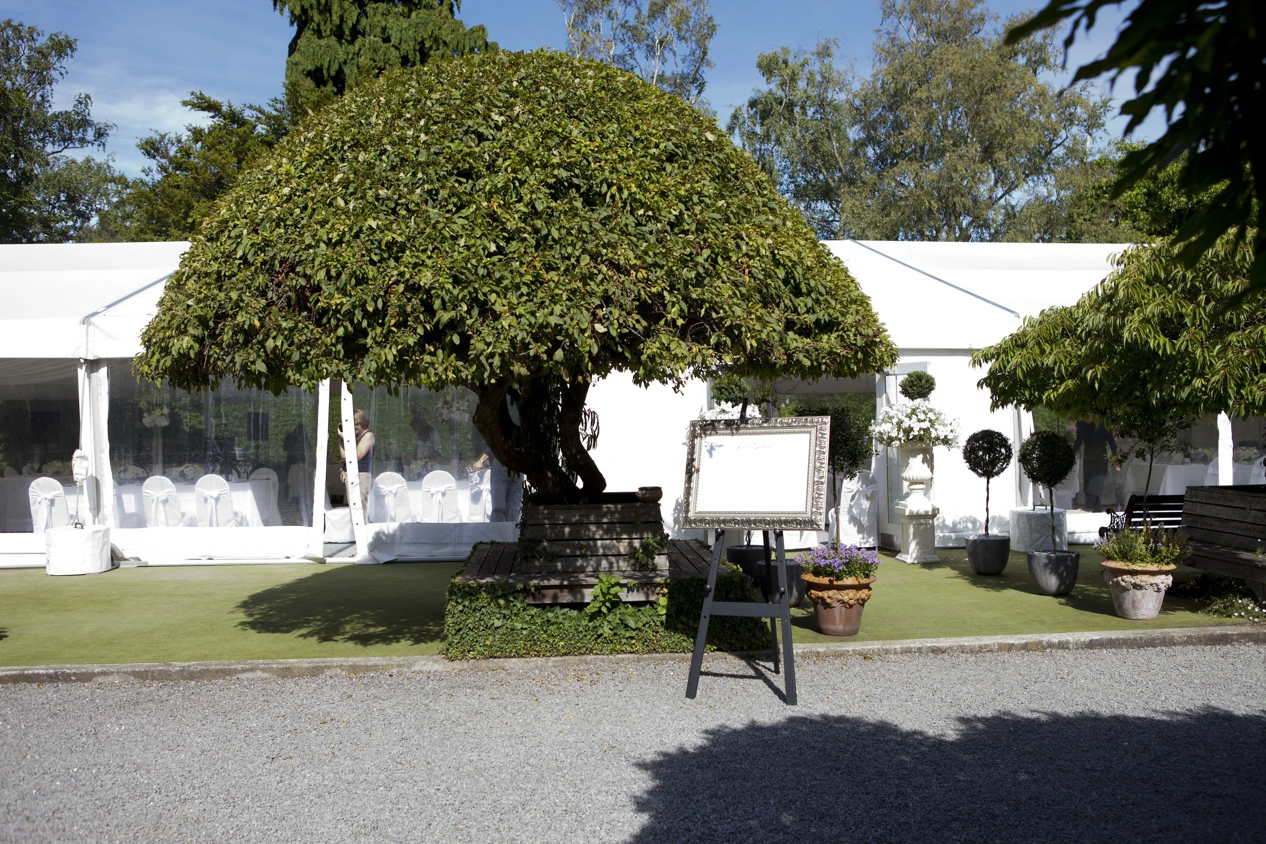 F891  20120128 copy.jpg